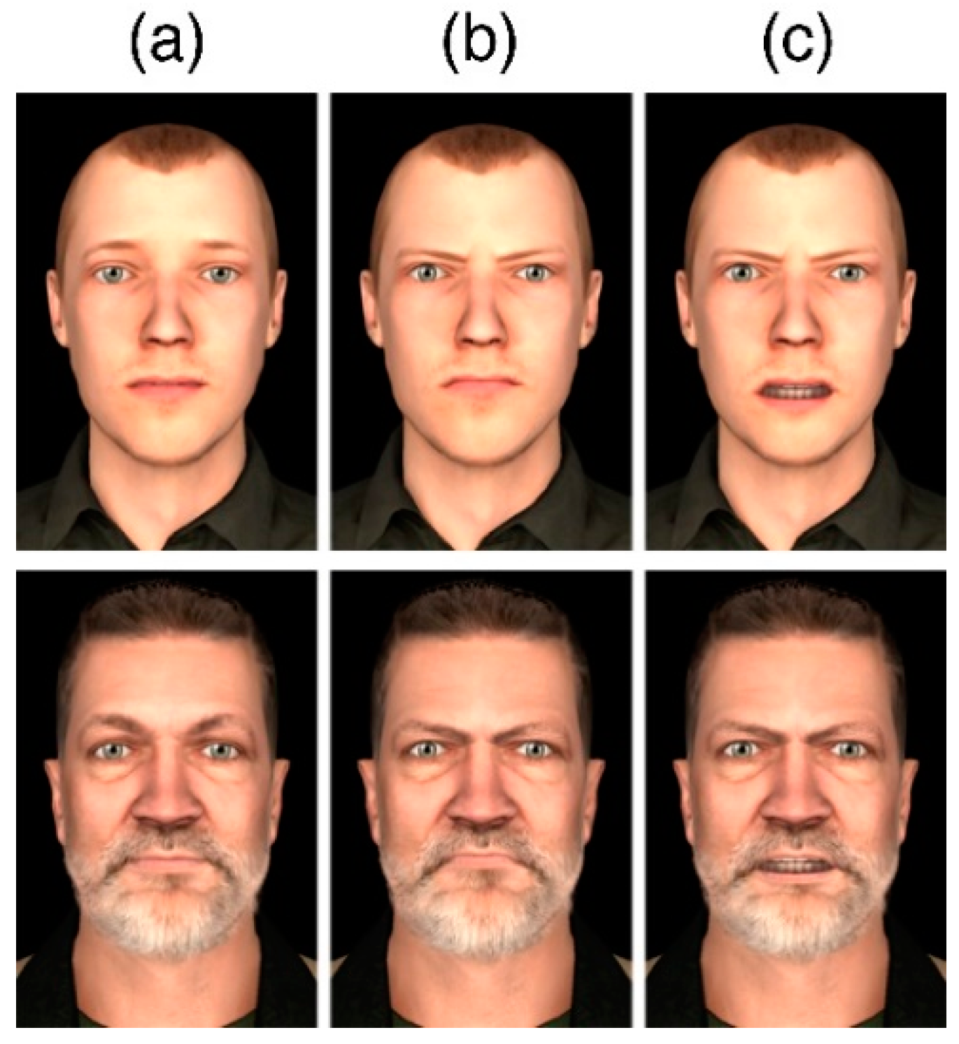 Brainsci 10 00537 g001