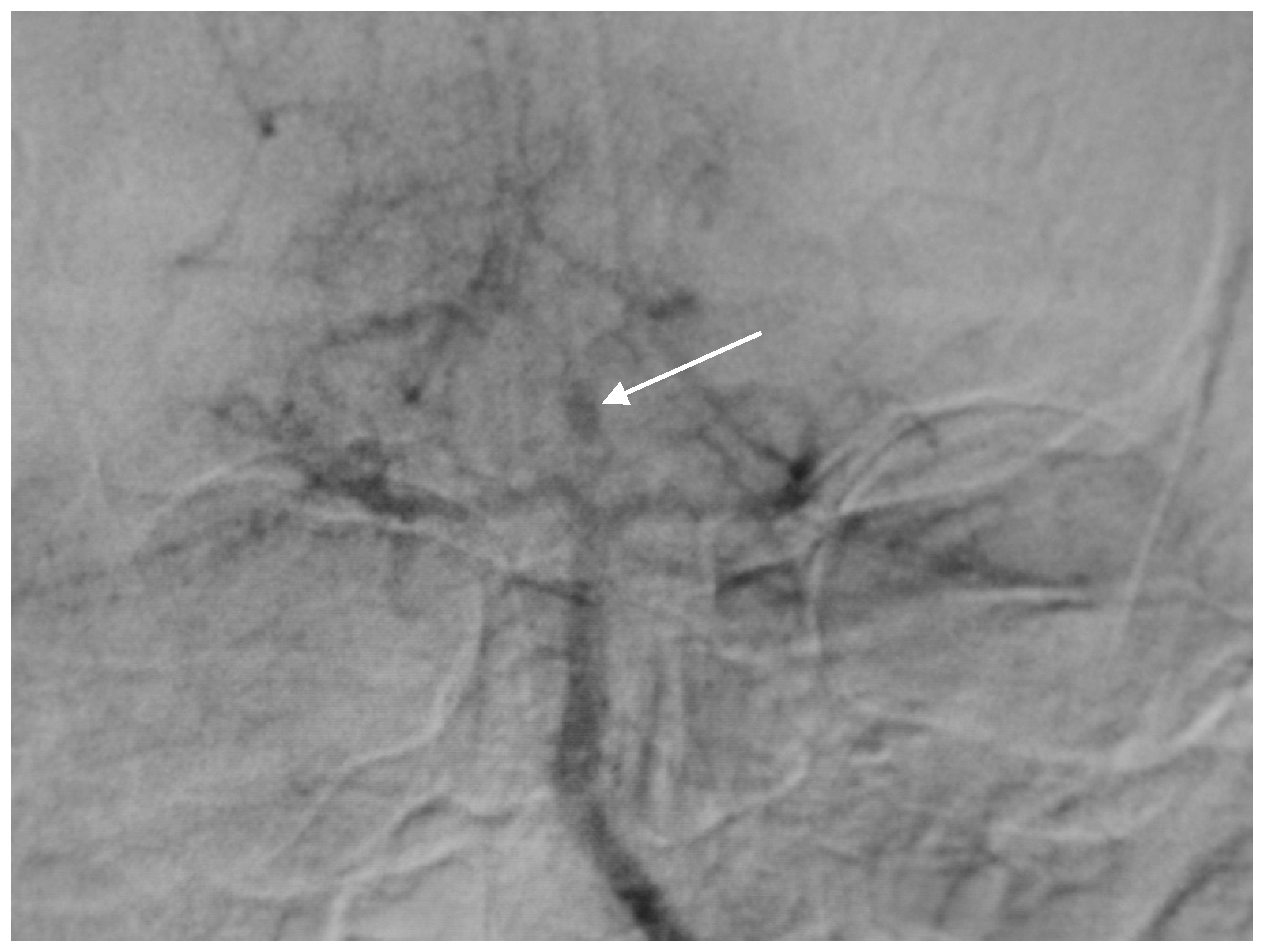 Brainsci 10 00538 g001