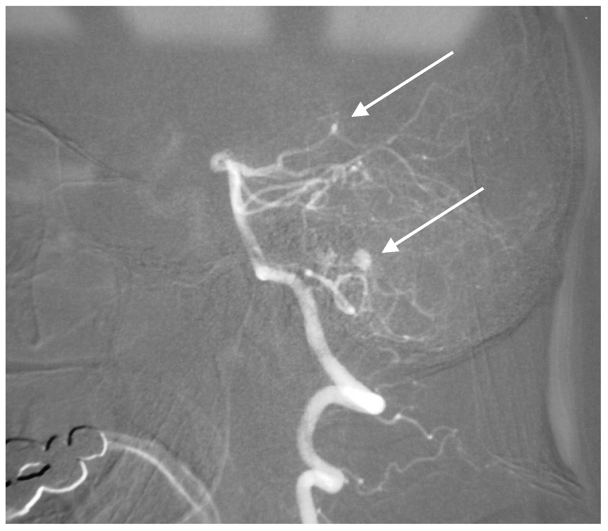 Brainsci 10 00538 g002