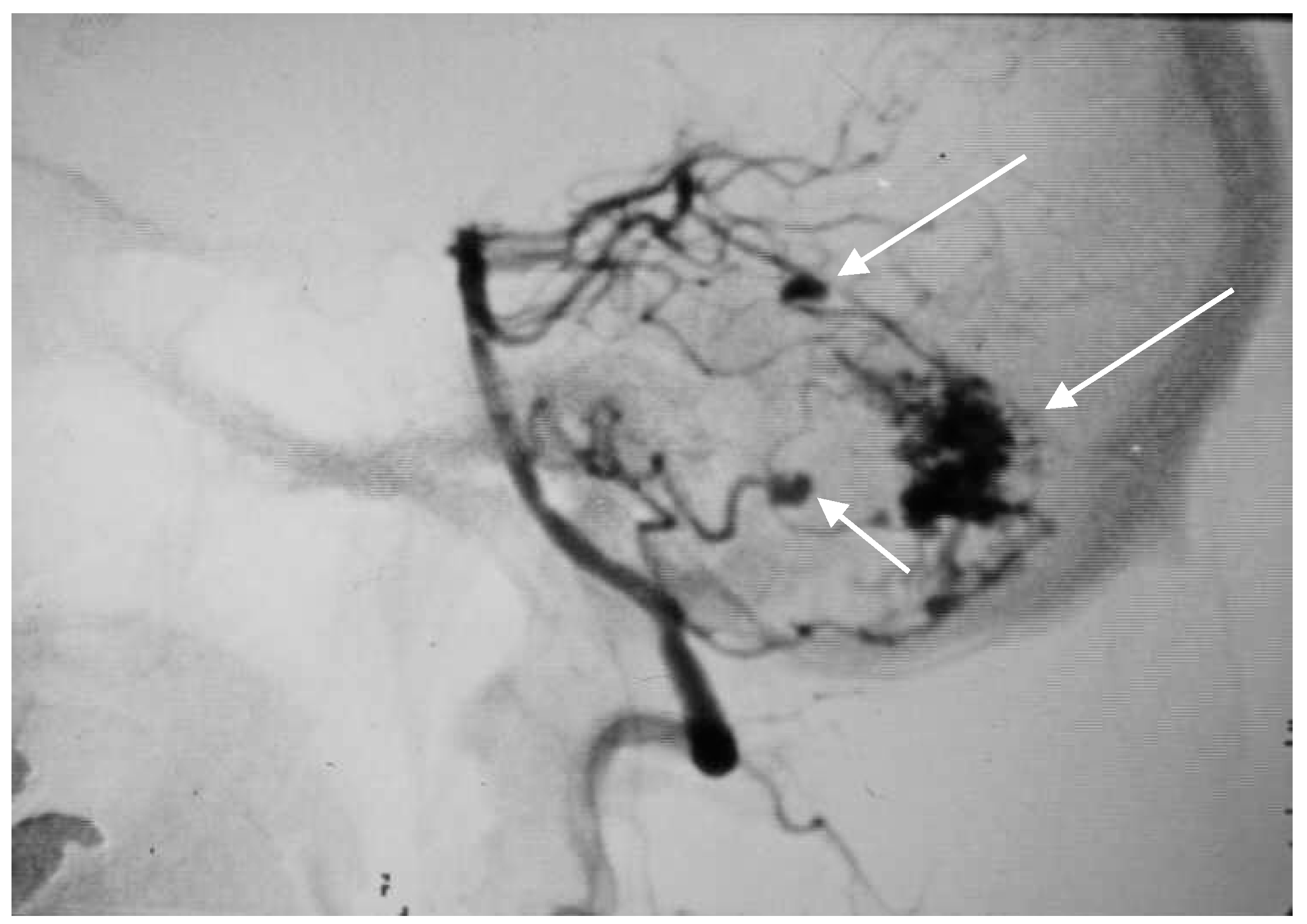 Brainsci 10 00538 g003