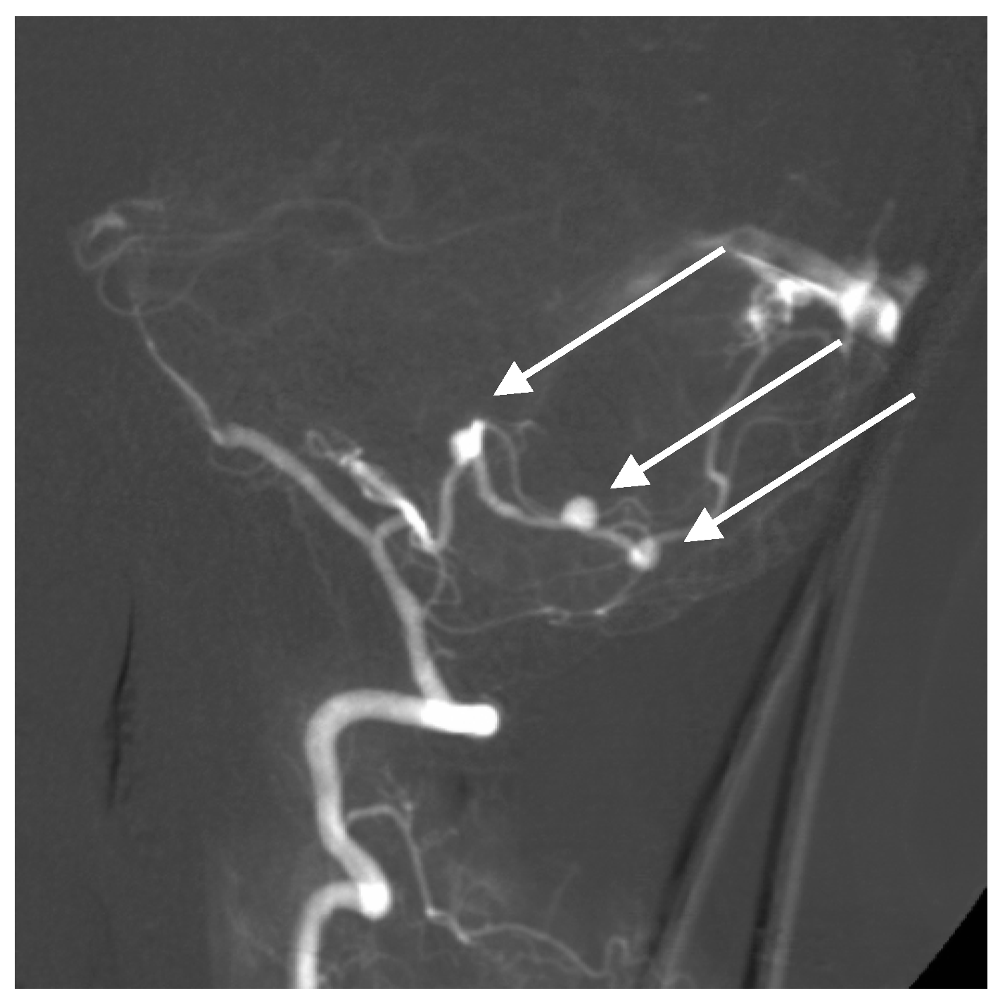 Brainsci 10 00538 g005