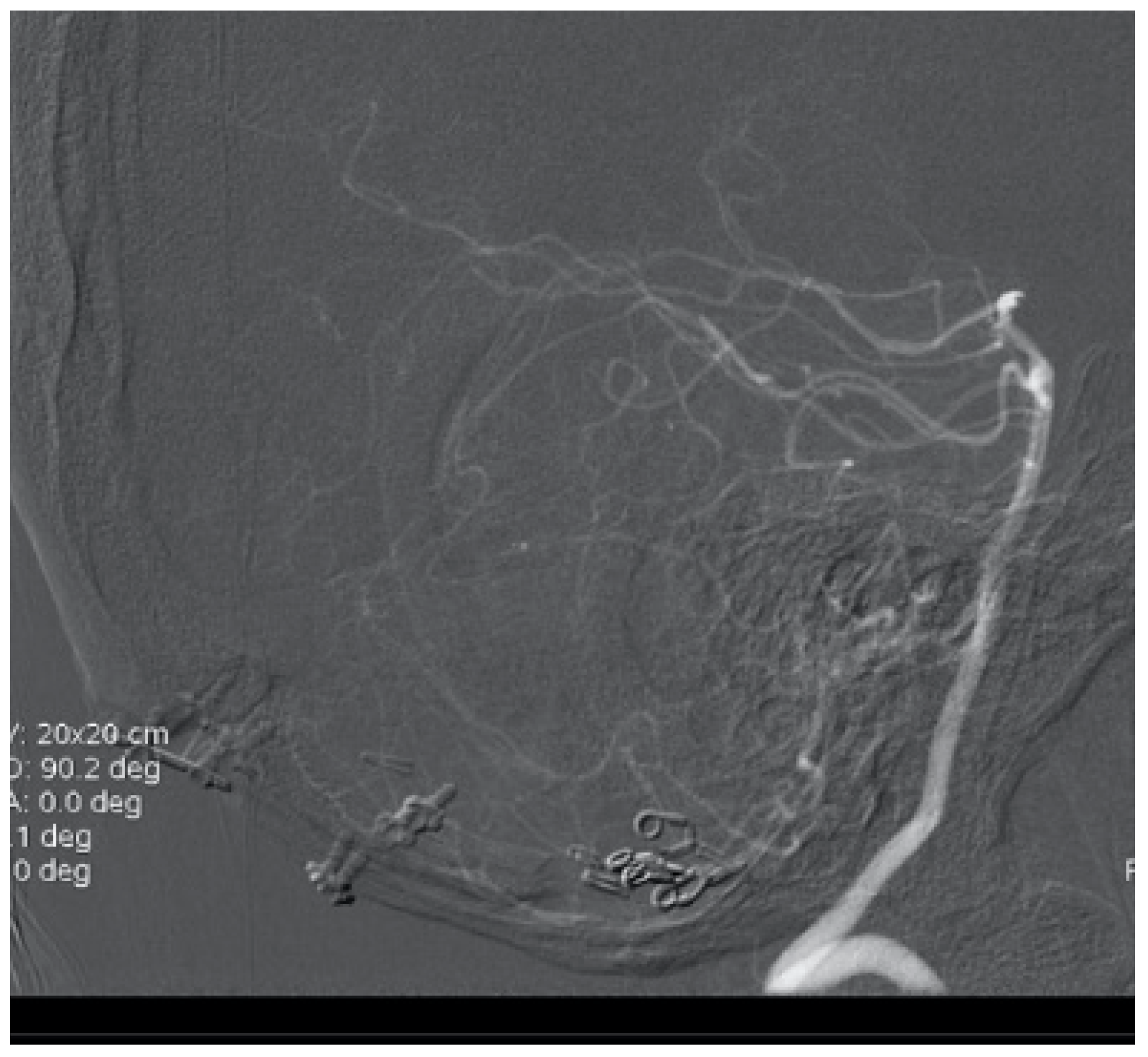 Brainsci 10 00538 g008