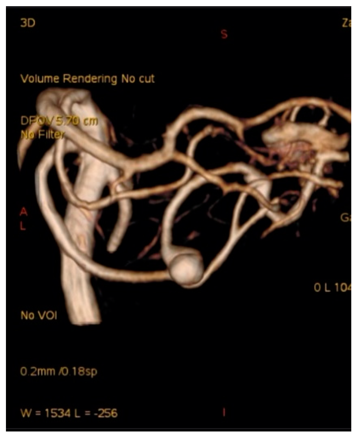 Brainsci 10 00538 g009