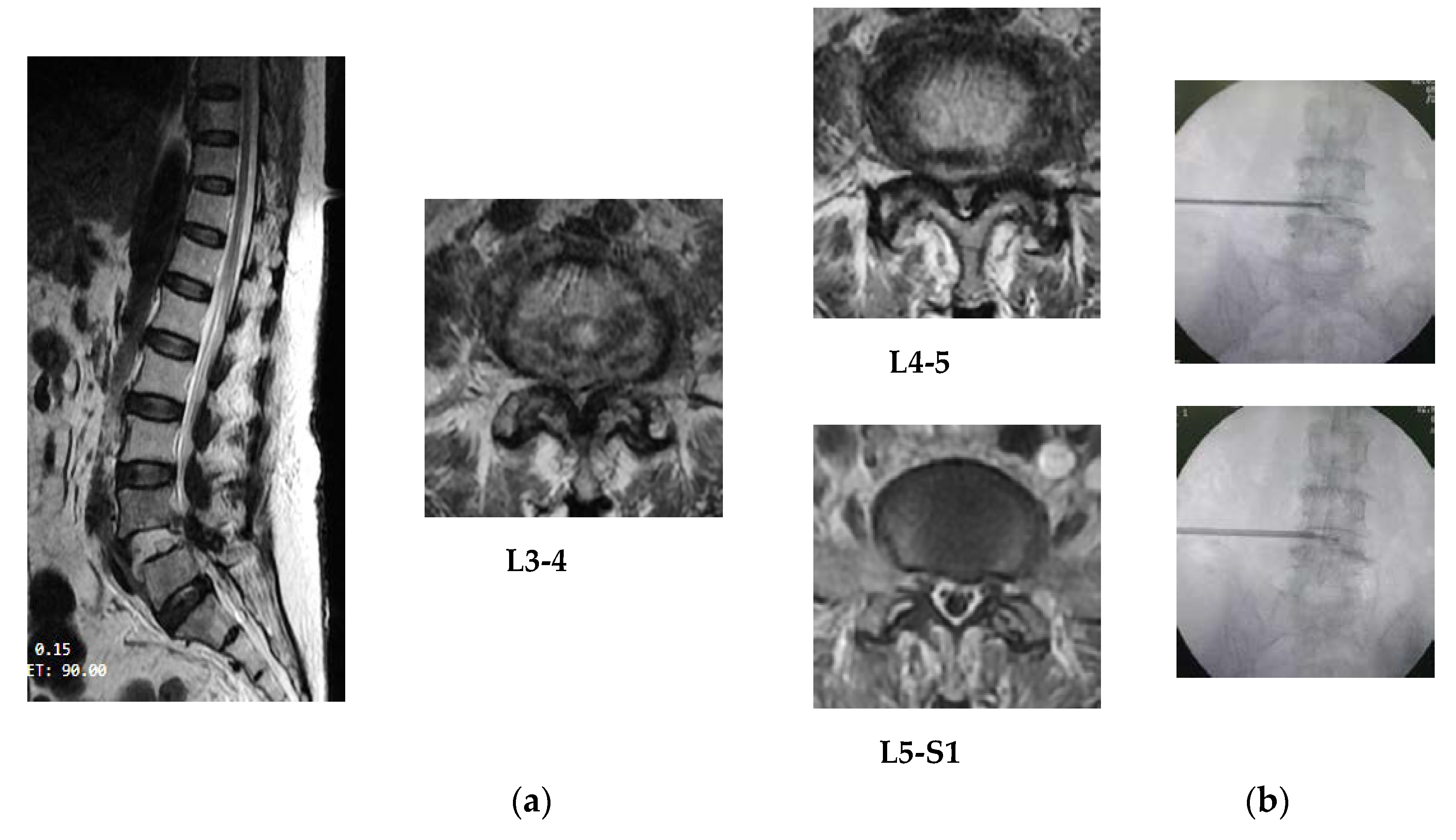 Brainsci 10 00539 g003