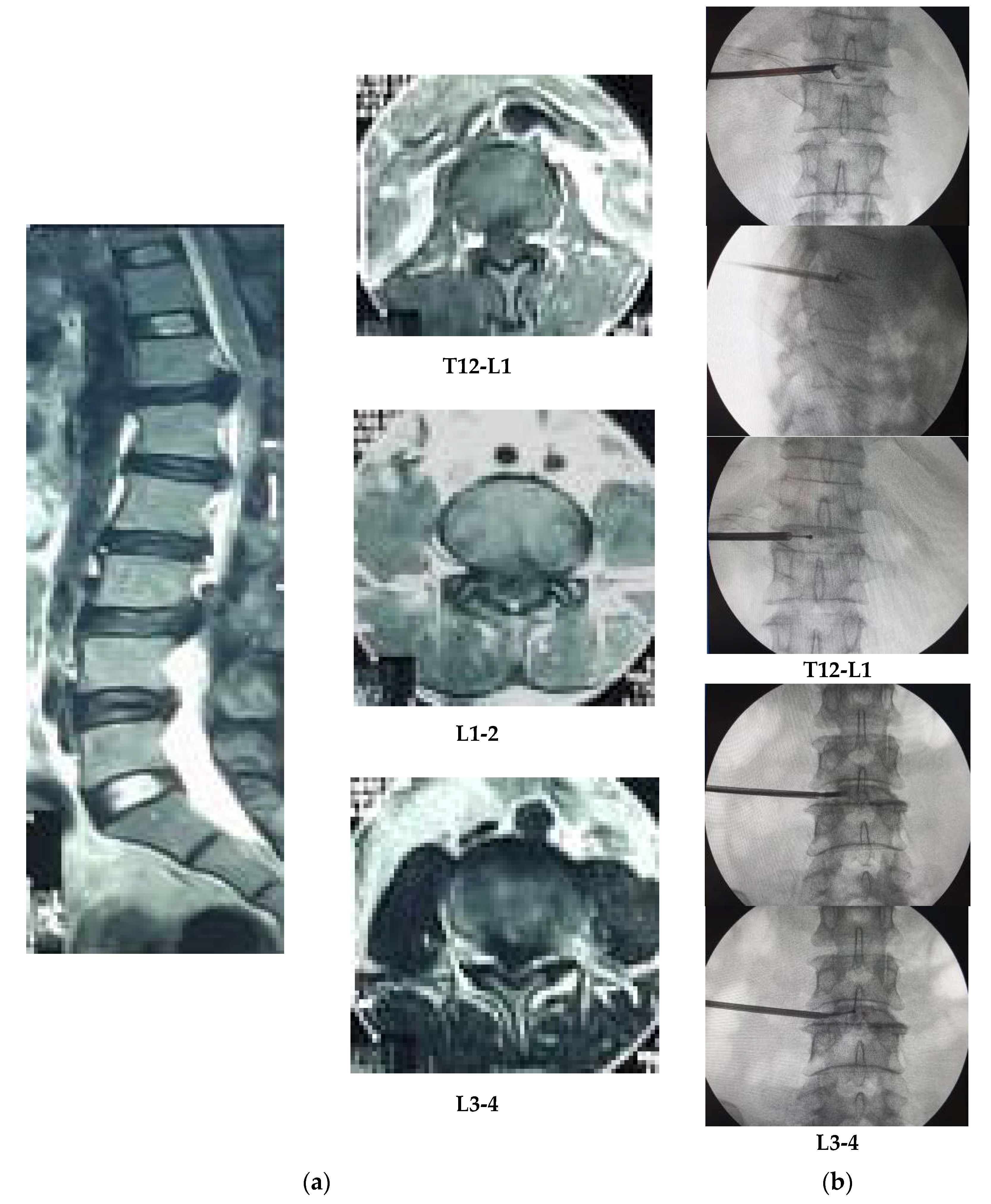 Brainsci 10 00539 g004