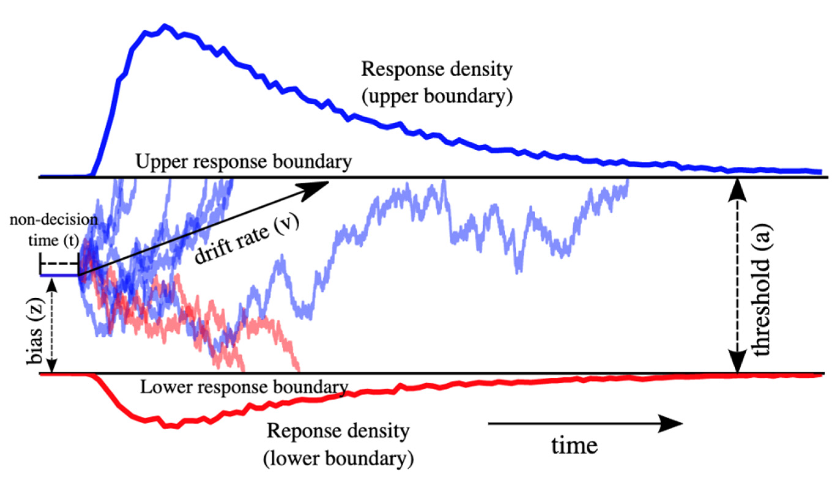 Brainsci 10 00540 g001