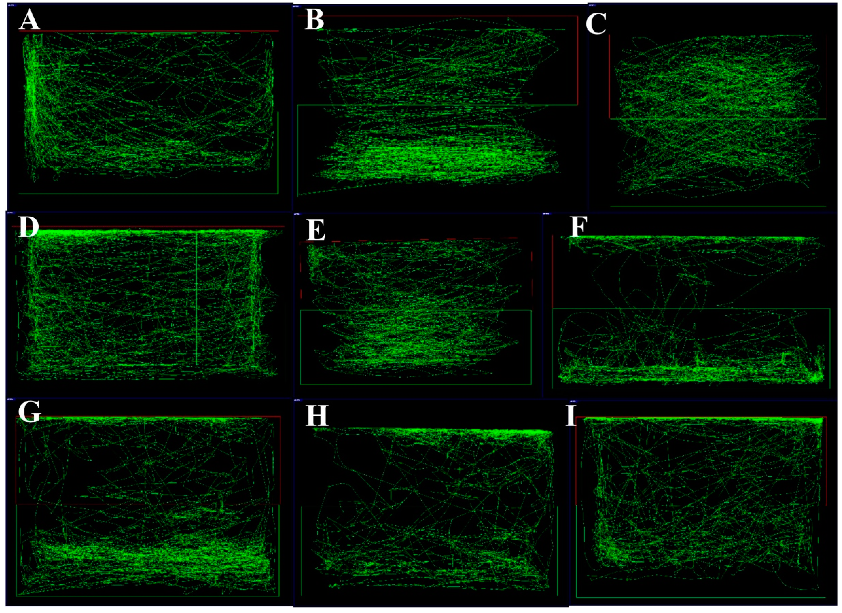 Brainsci 10 00541 g002