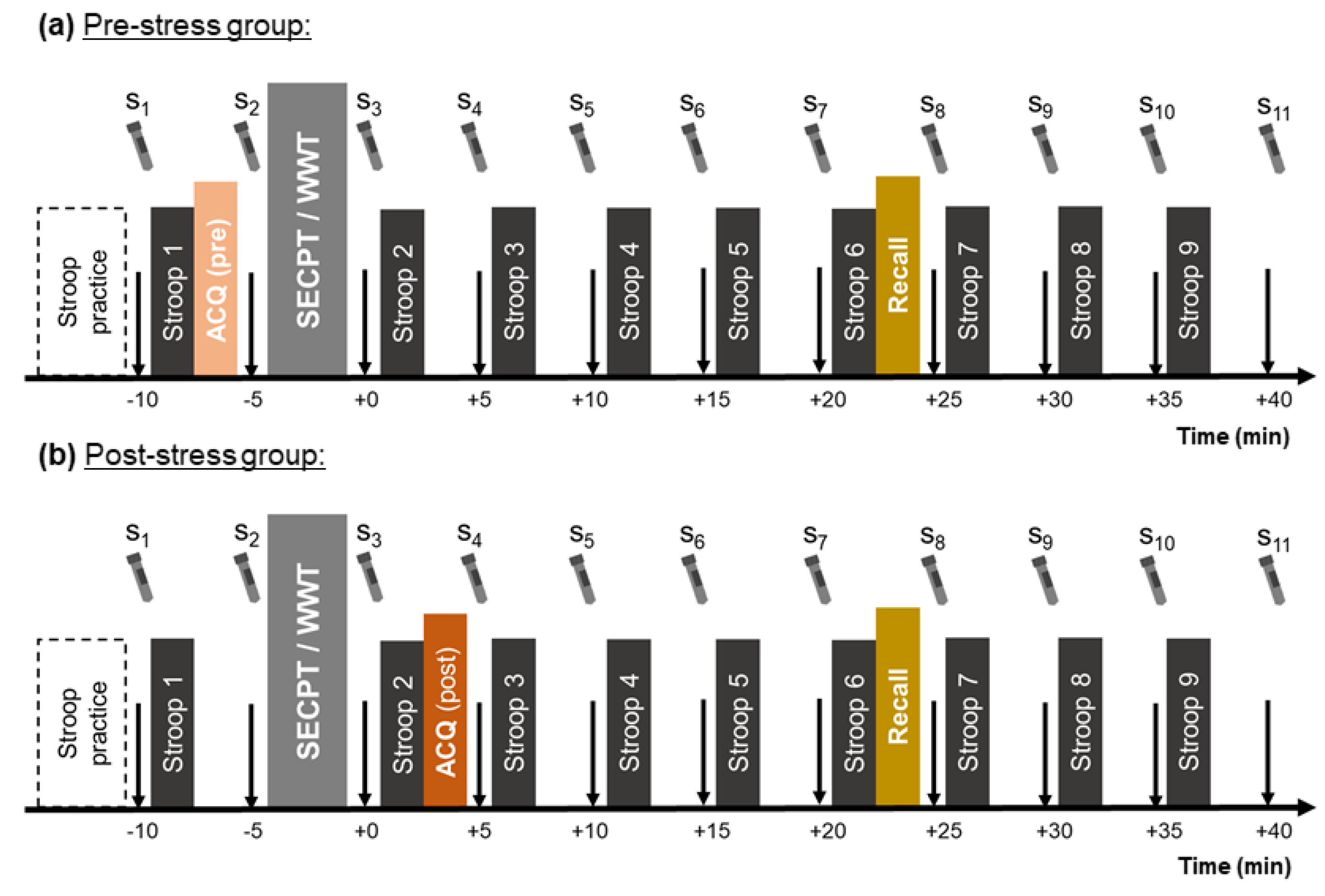 Brainsci 10 00544 g002 Brainsci 10 00544 g002