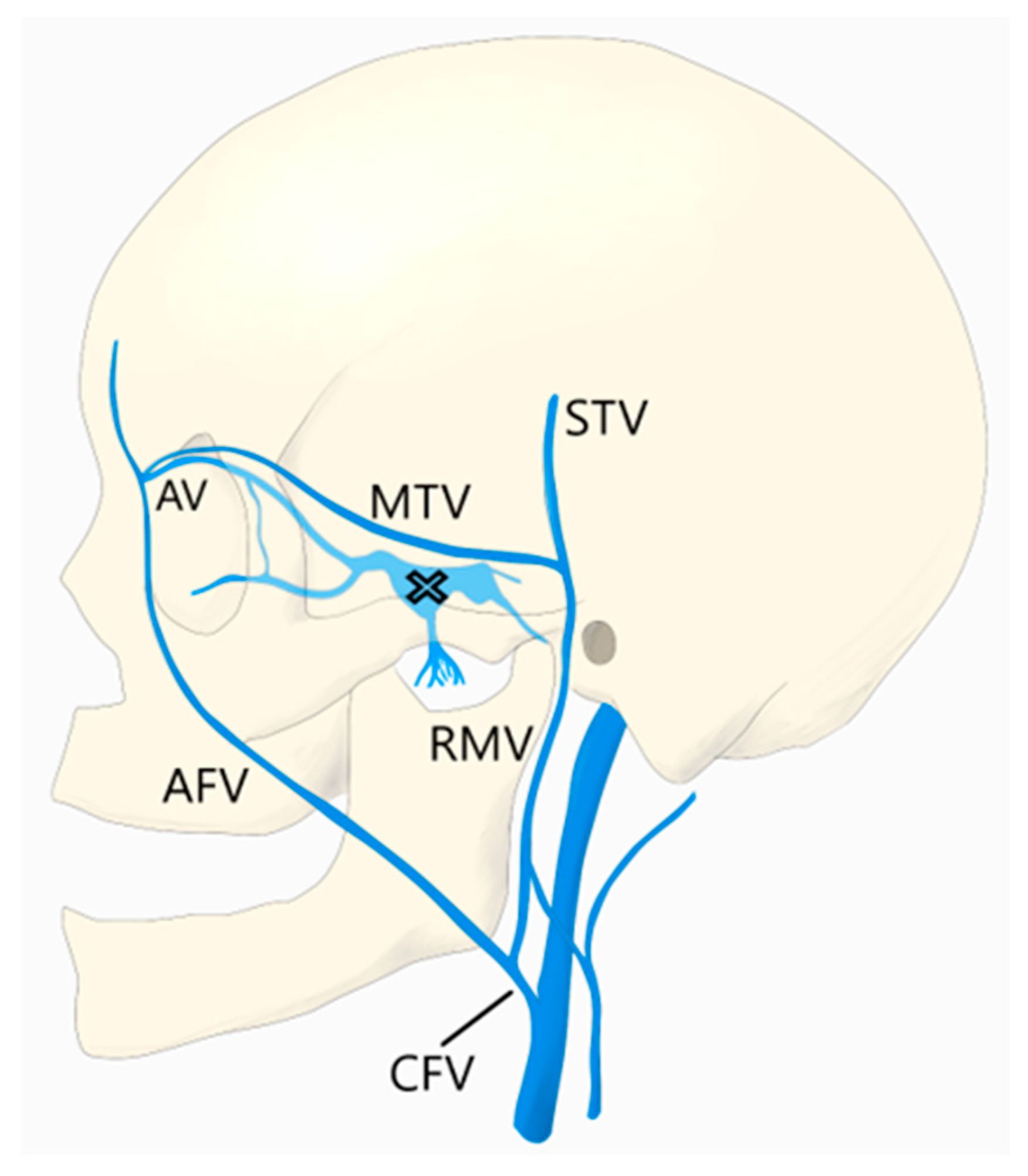 Brainsci 10 00554 g001