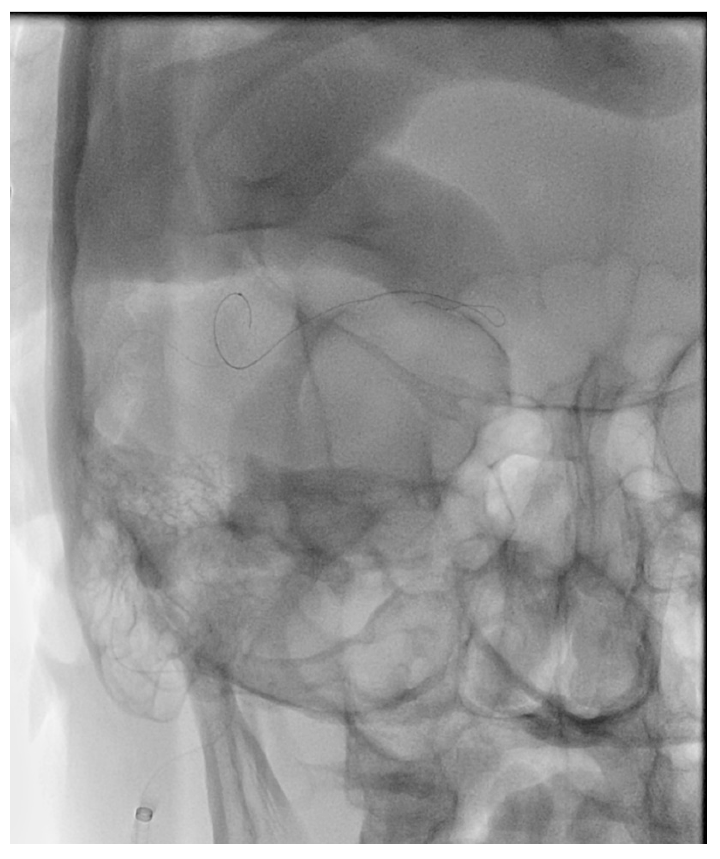 Brainsci 10 00554 g004