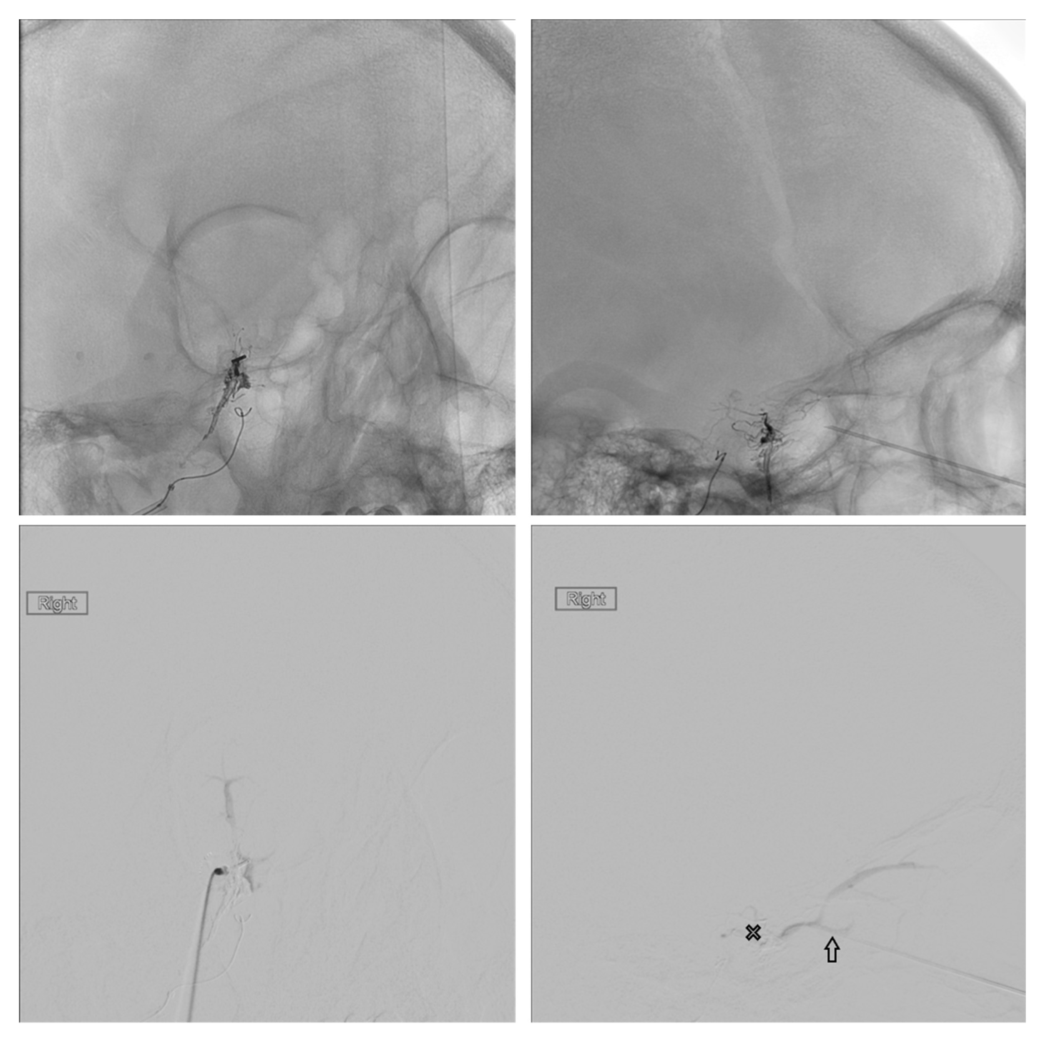 Brainsci 10 00554 g007