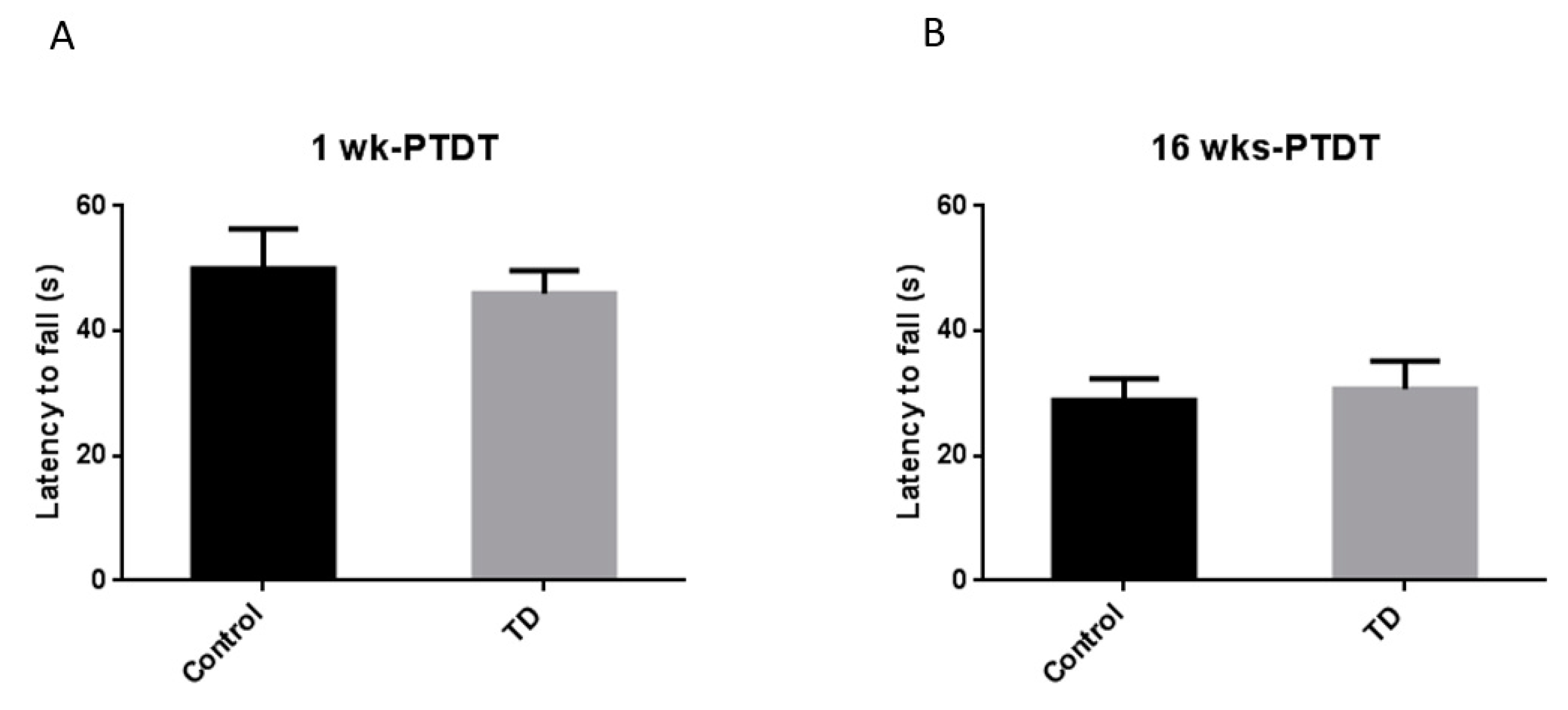Brainsci 10 00565 g005 Brainsci 10 00565 g005