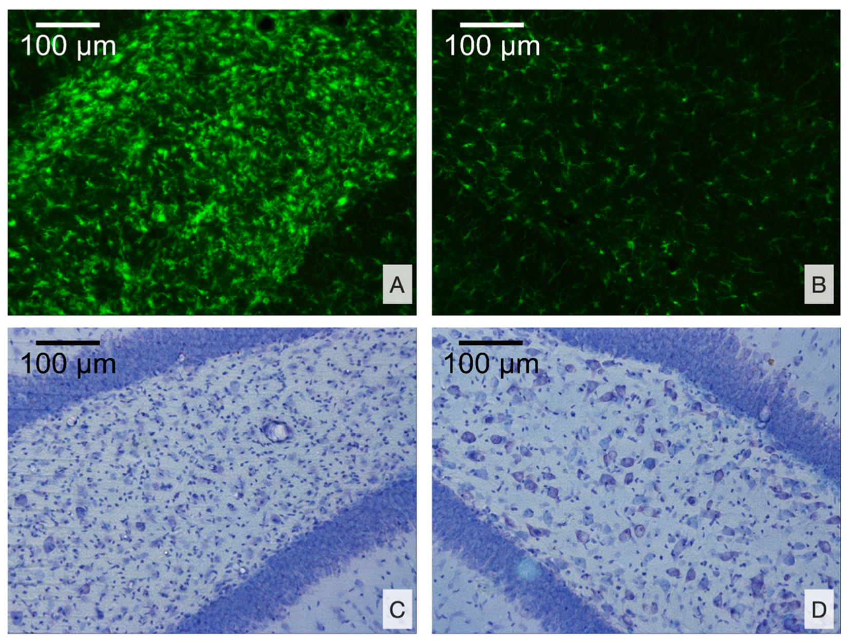 Brainsci 10 00570 g006 Brainsci 10 00570 g006