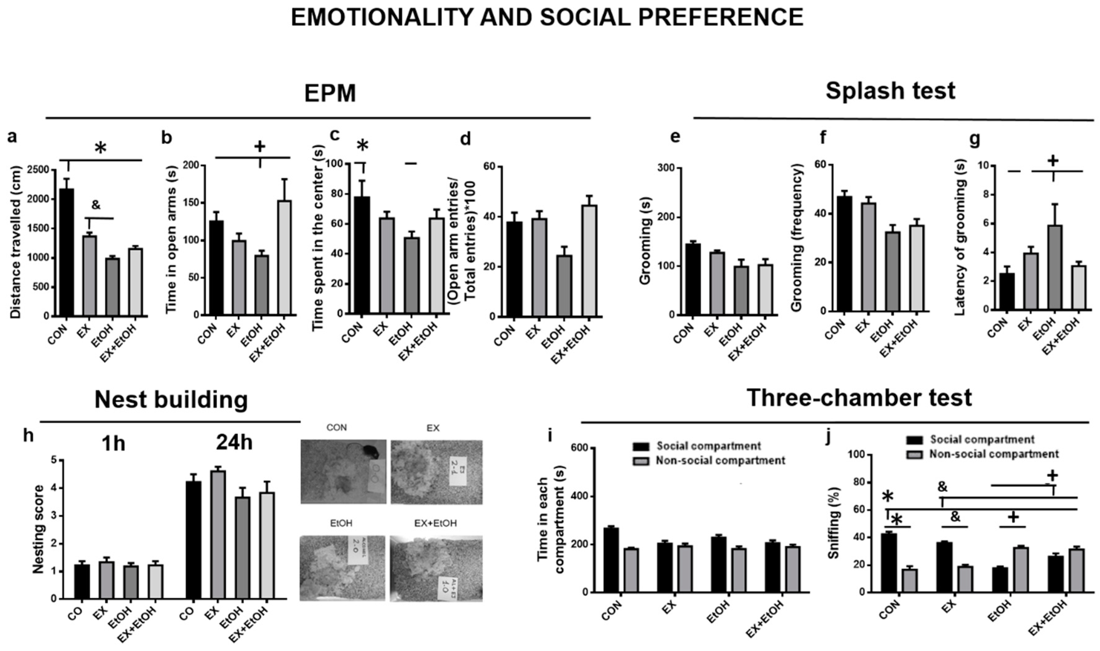 Brainsci 10 00576 g003