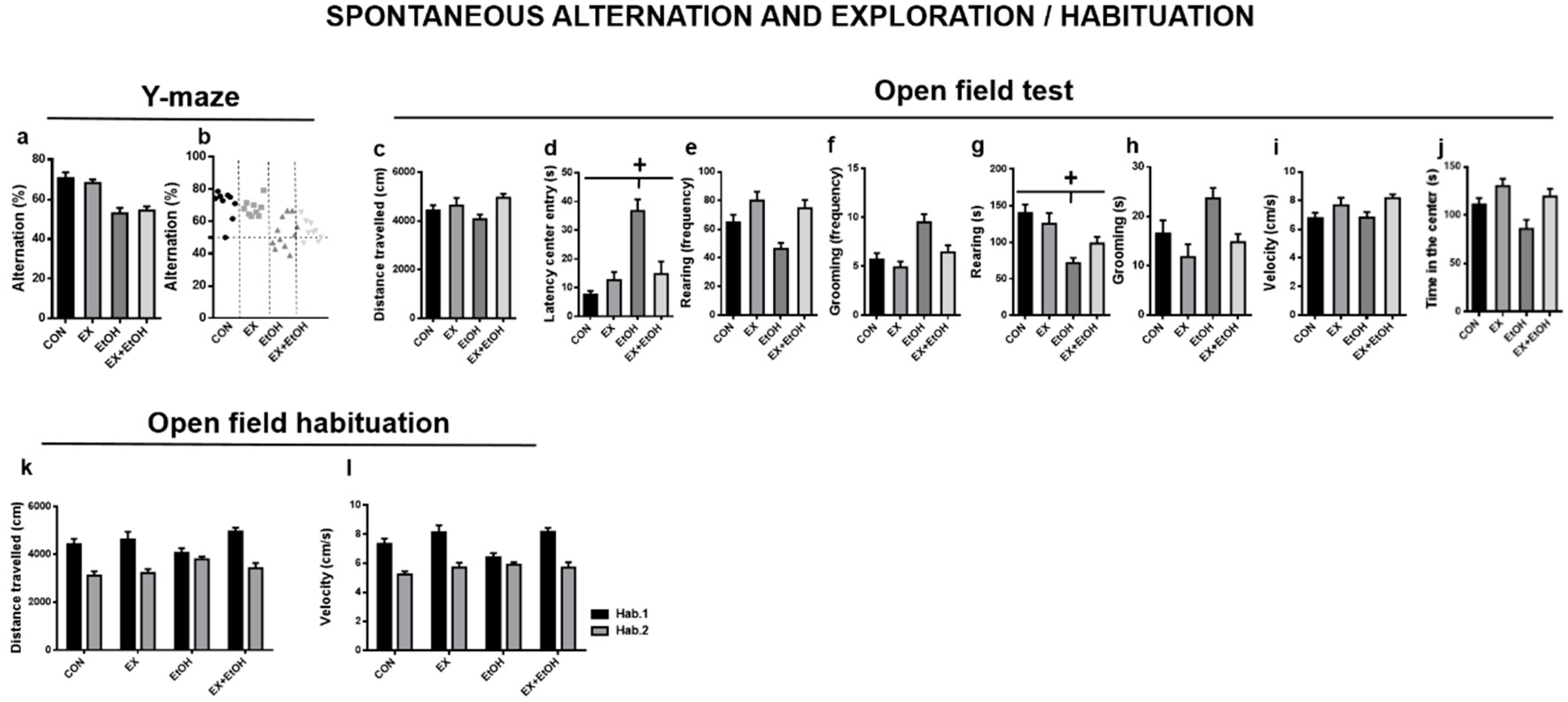 Brainsci 10 00576 g004