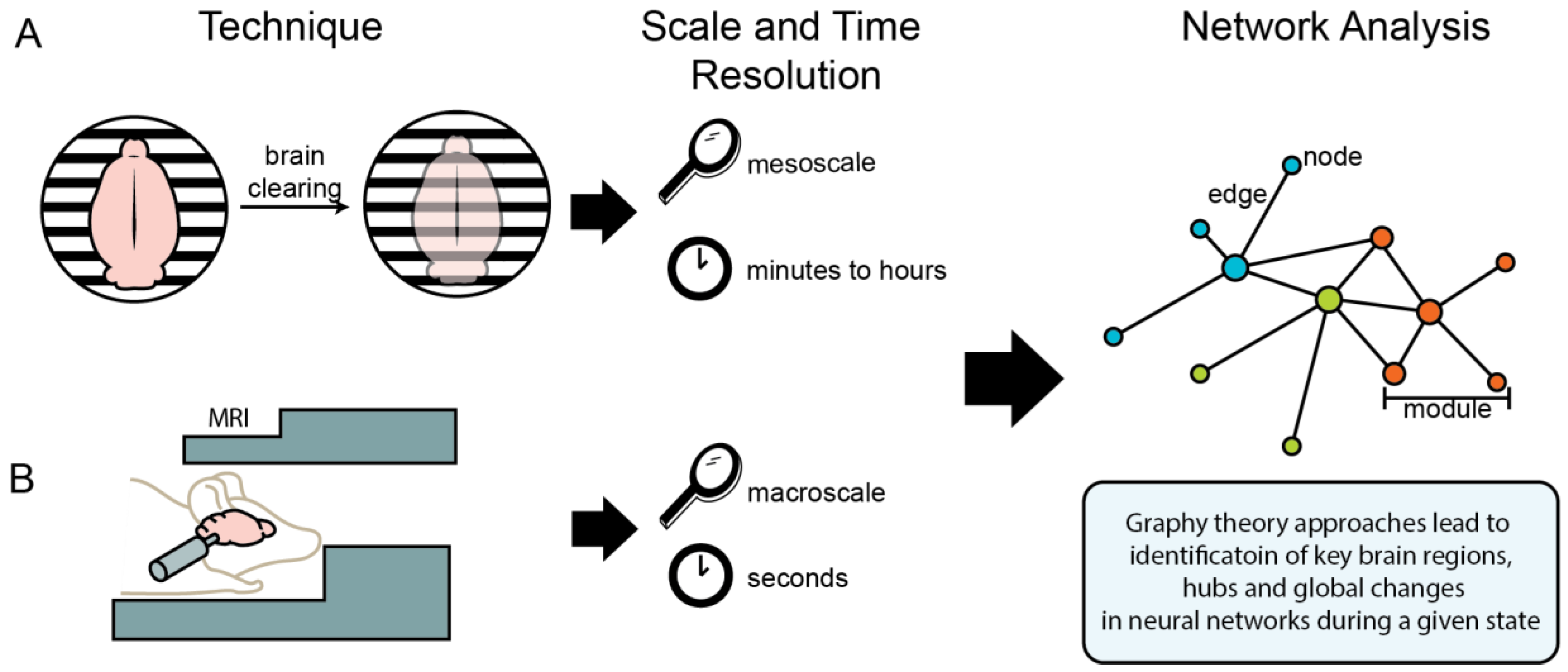 Brain | Free Full-Text | Leveraging Neural Networks in