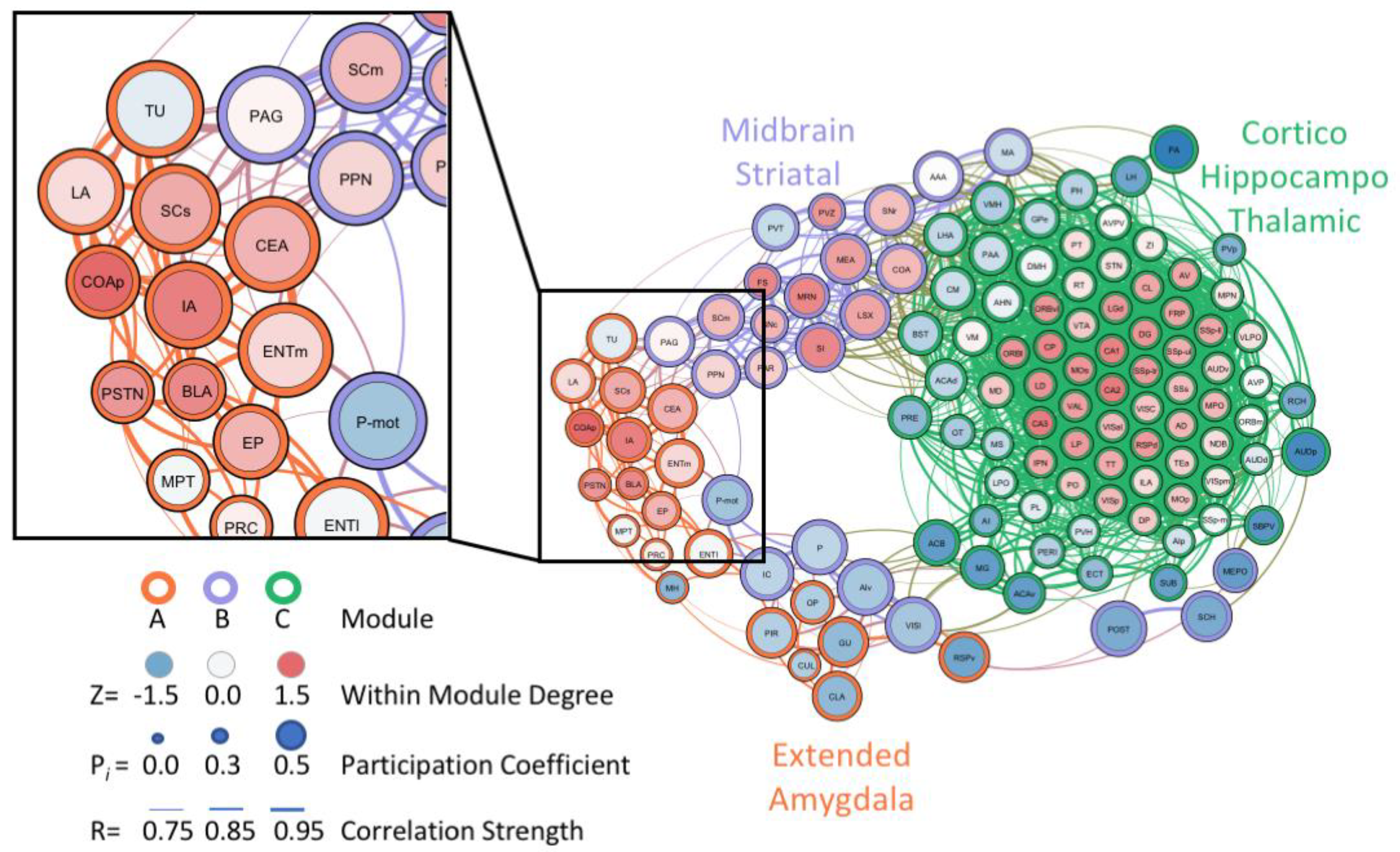 Brainsci 10 00578 g002