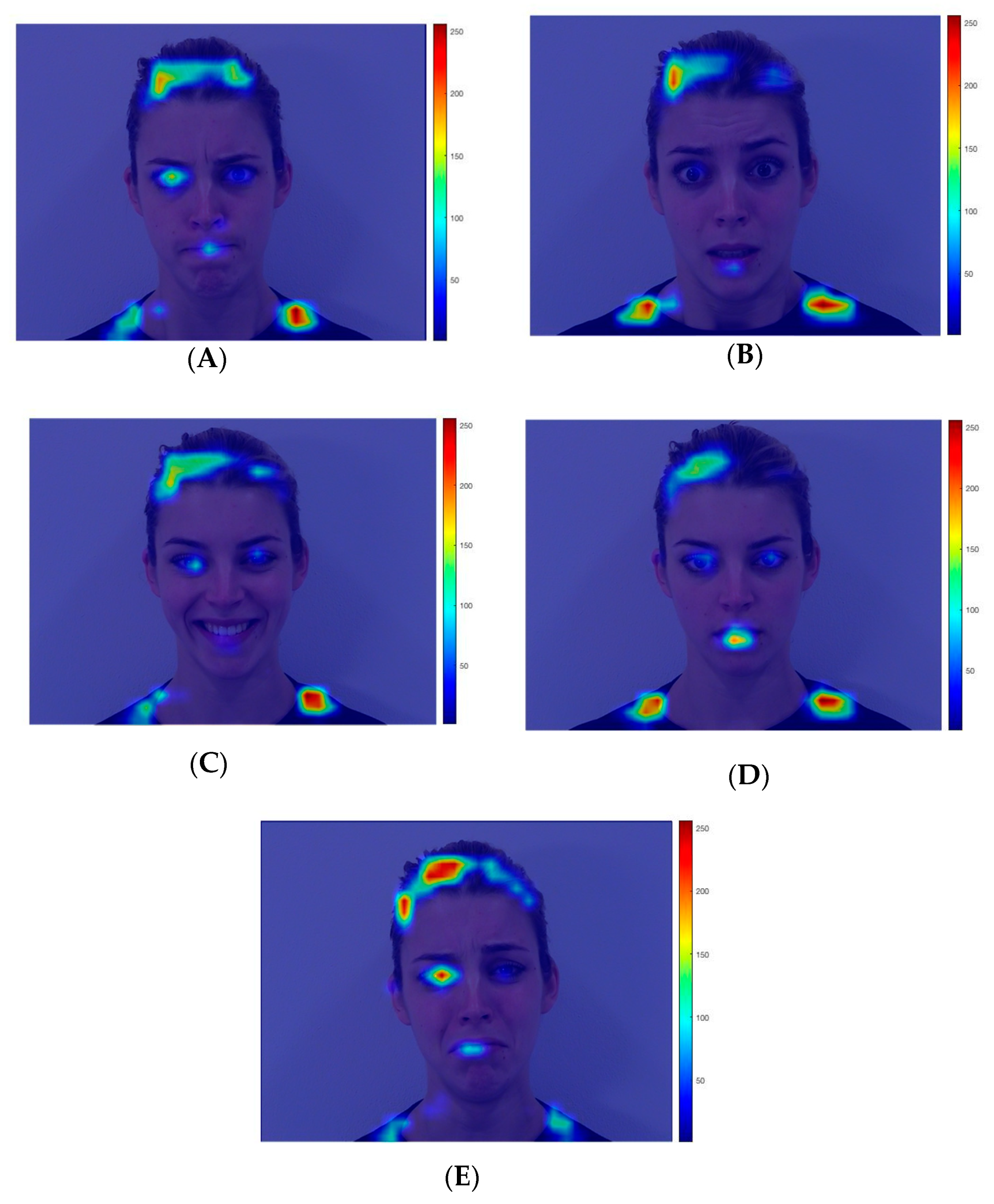 Brainsci 10 00585 g004 Brainsci 10 00585 g004