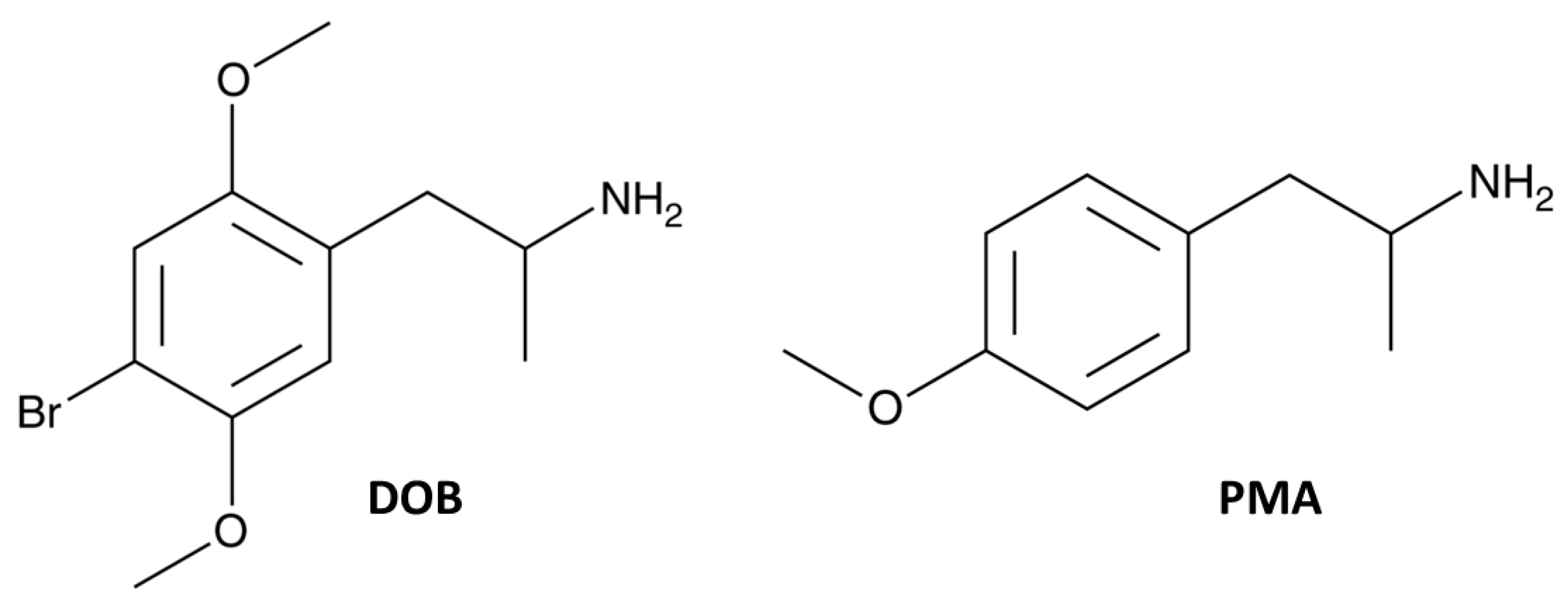 Brainsci 10 00586 g001