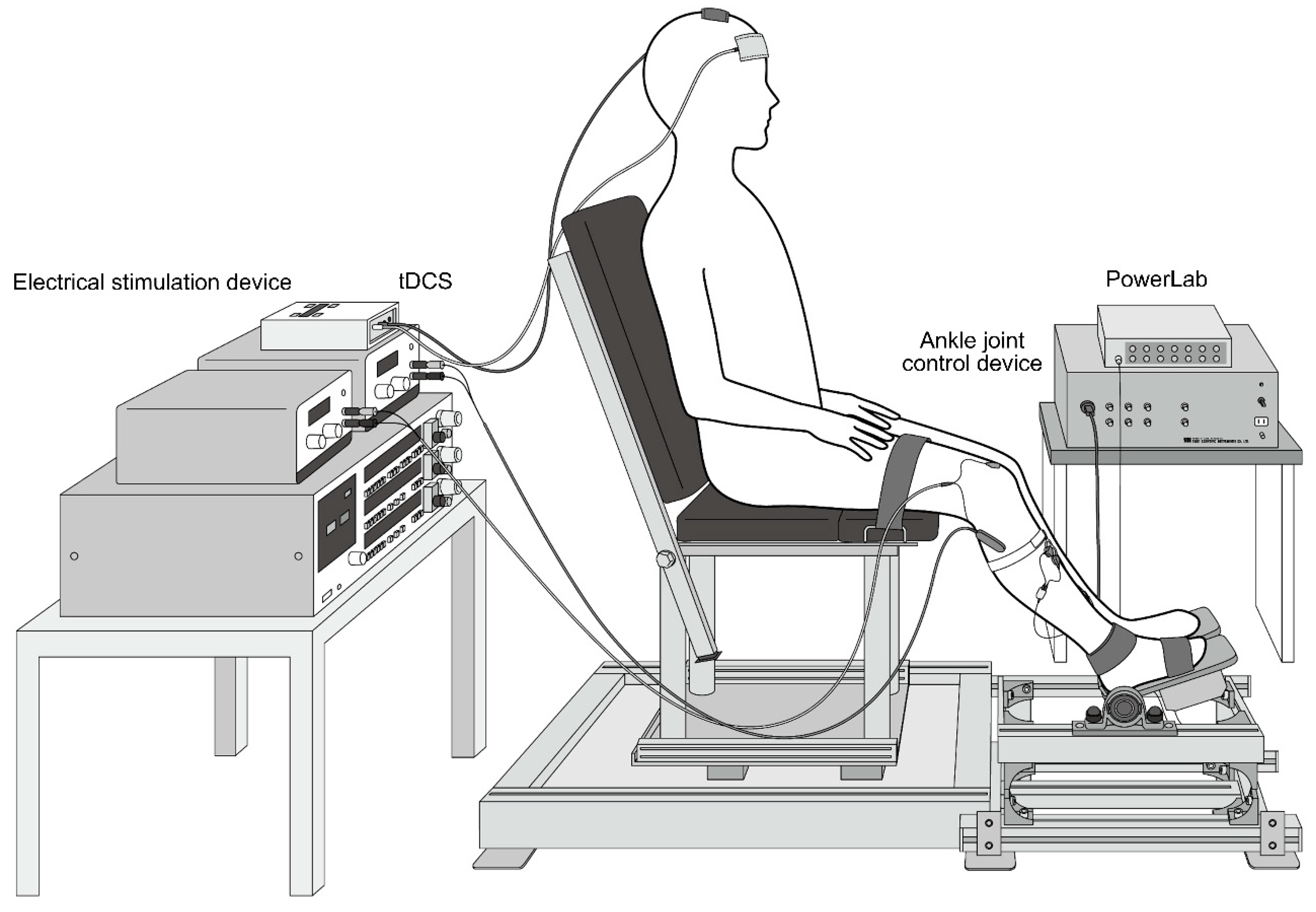 Brainsci 10 00587 g001