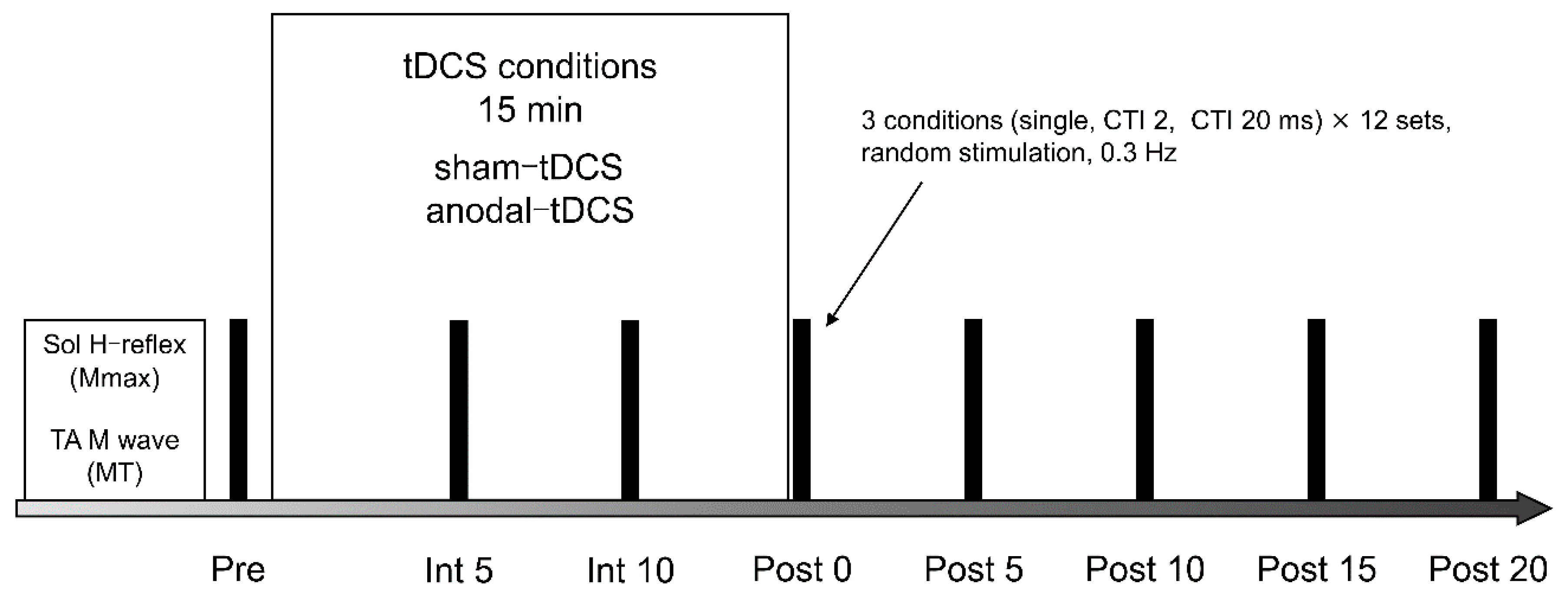 Brainsci 10 00587 g002