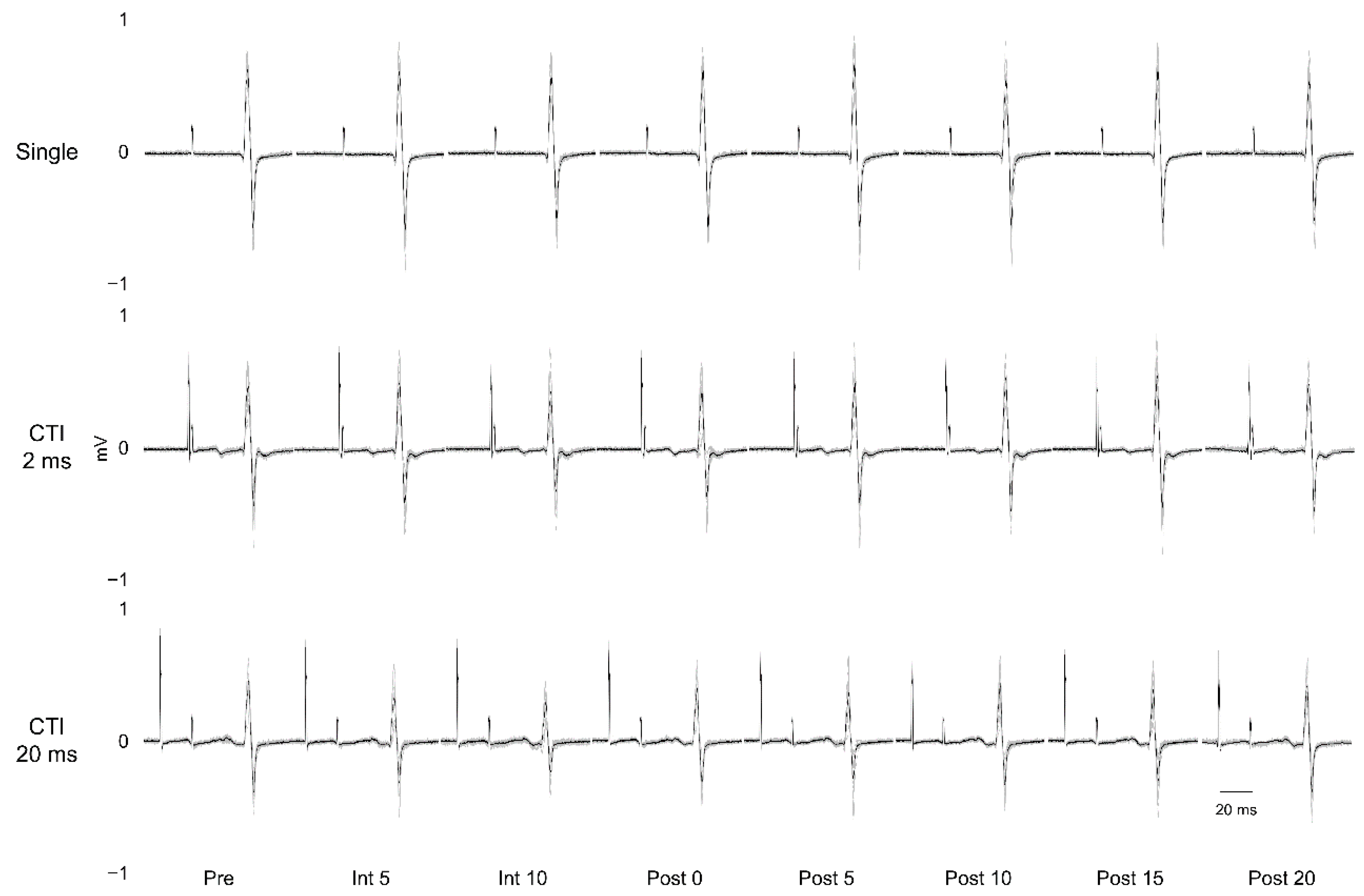 Brainsci 10 00587 g003