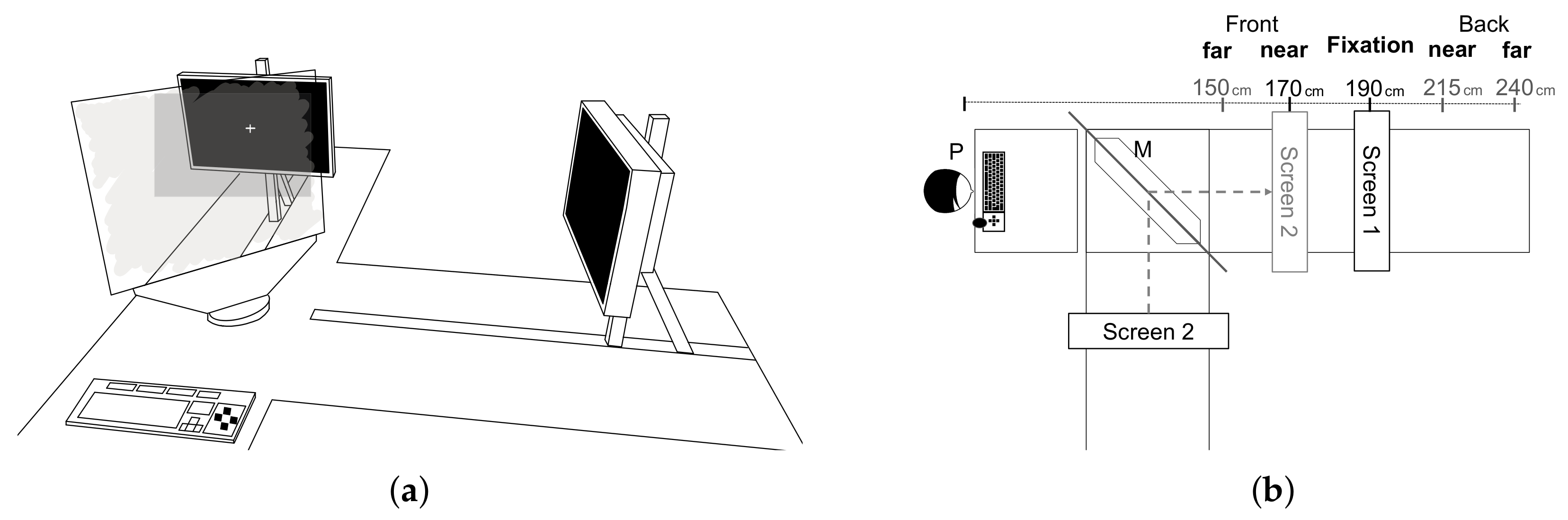 Brainsci 10 00596 g001