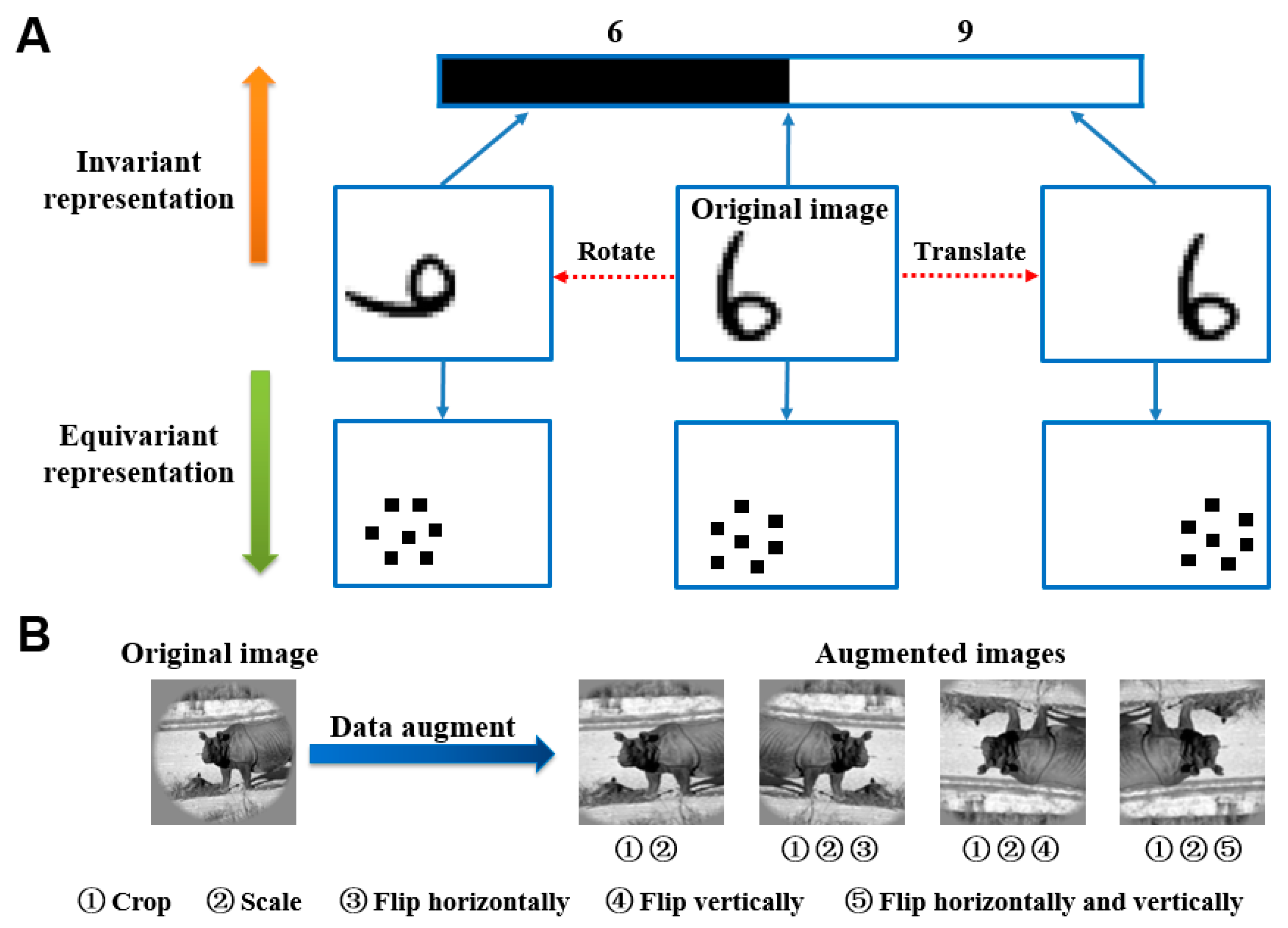 Brainsci 10 00602 g001 Brainsci 10 00602 g001