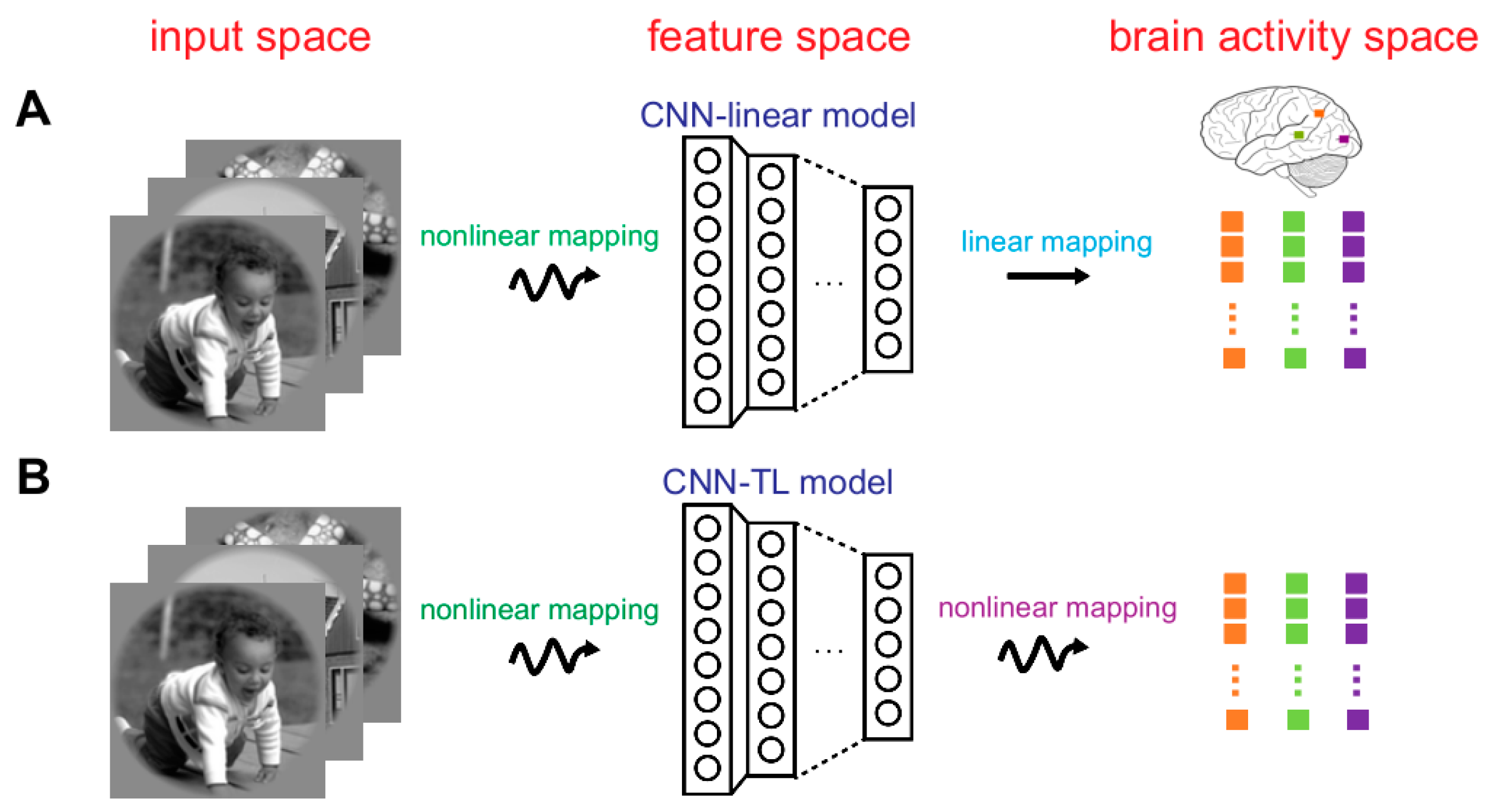Brainsci 10 00602 g002 Brainsci 10 00602 g002