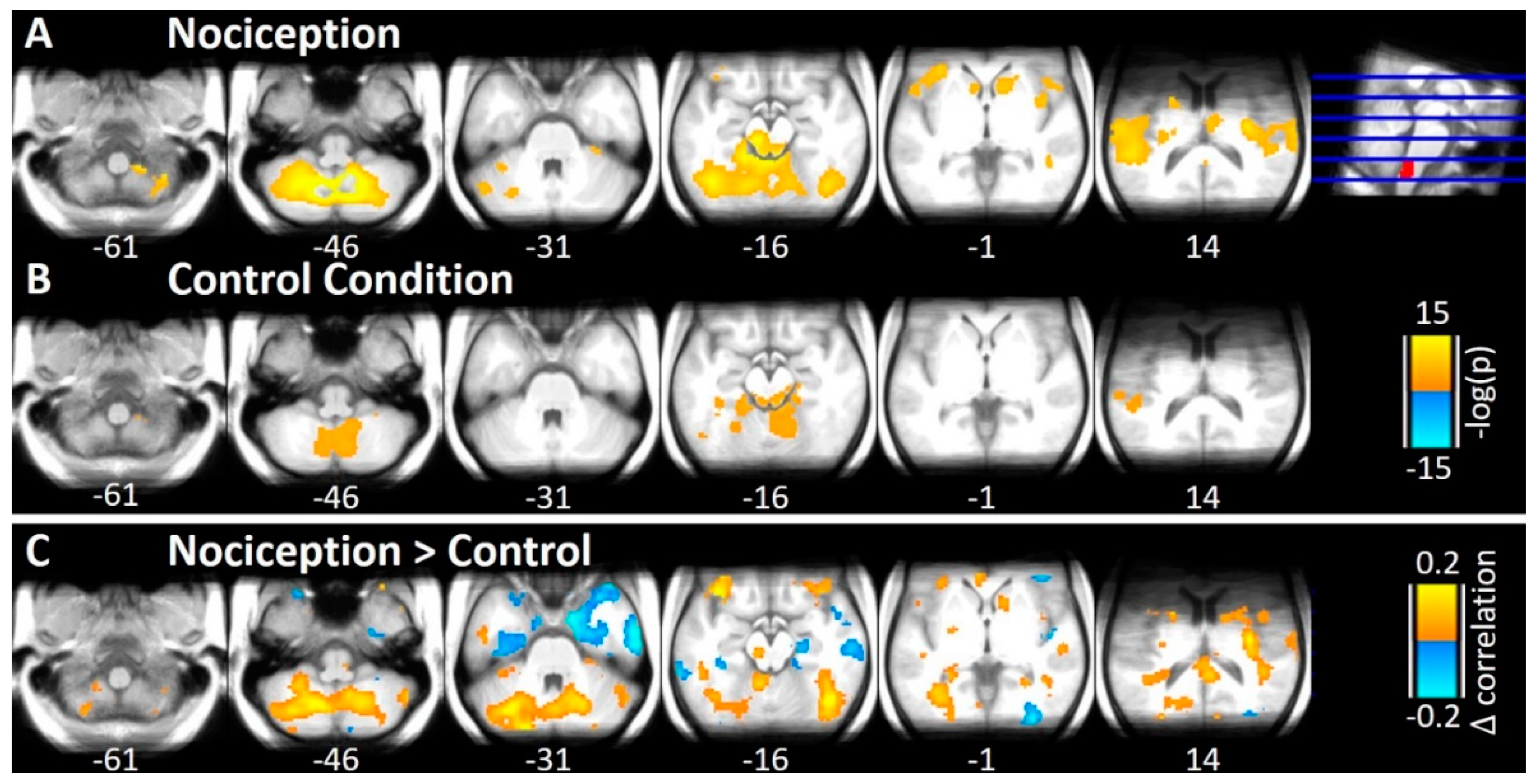 Brainsci 10 00603 g003 Brainsci 10 00603 g003