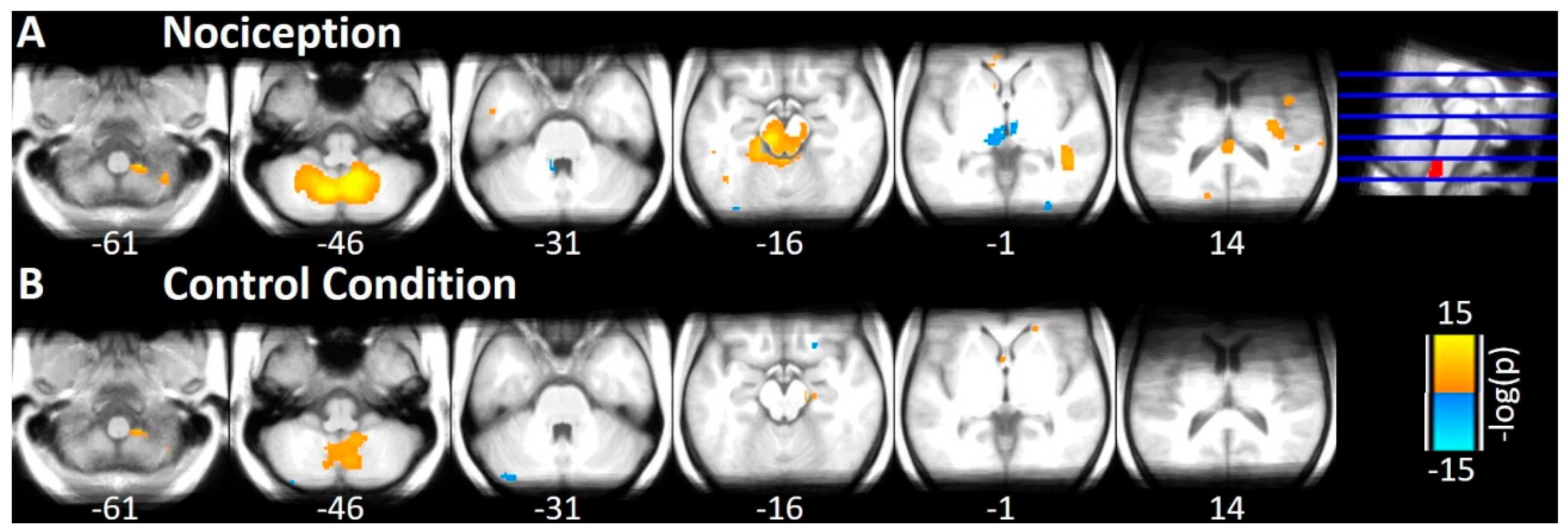 Brainsci 10 00603 g004 Brainsci 10 00603 g004