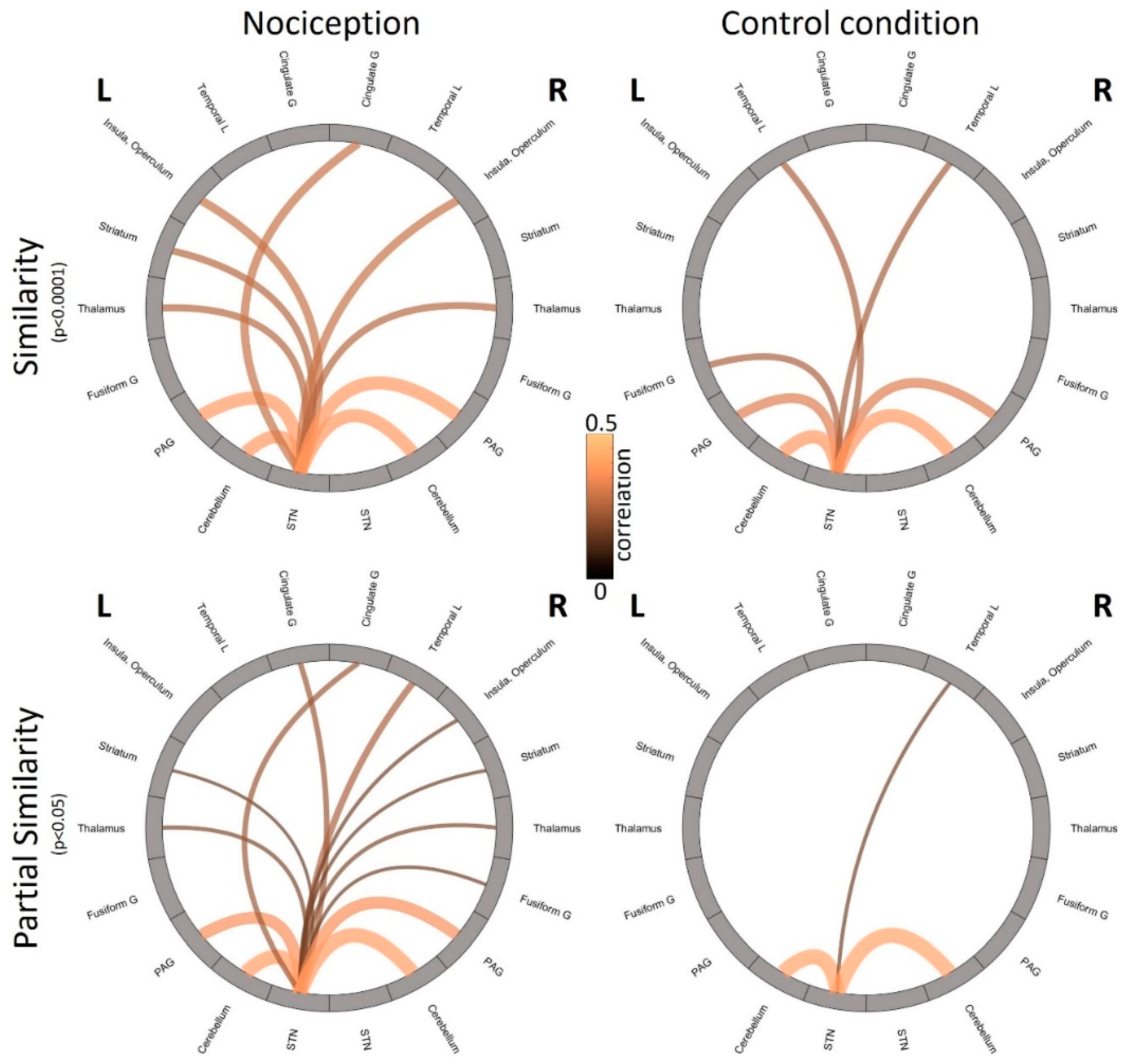 Brainsci 10 00603 g005 Brainsci 10 00603 g005