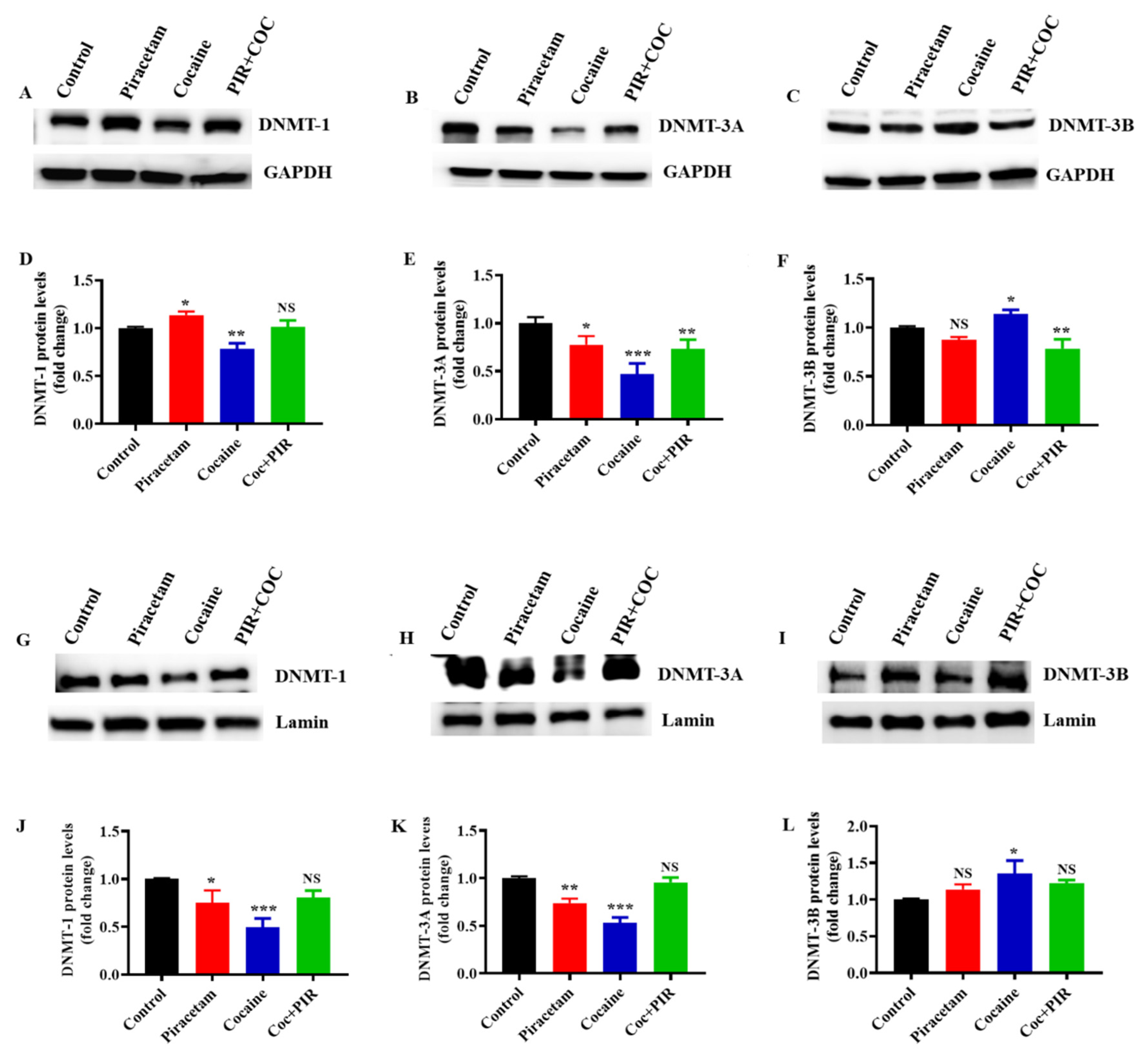 Brainsci 10 00611 g002 Brainsci 10 00611 g002