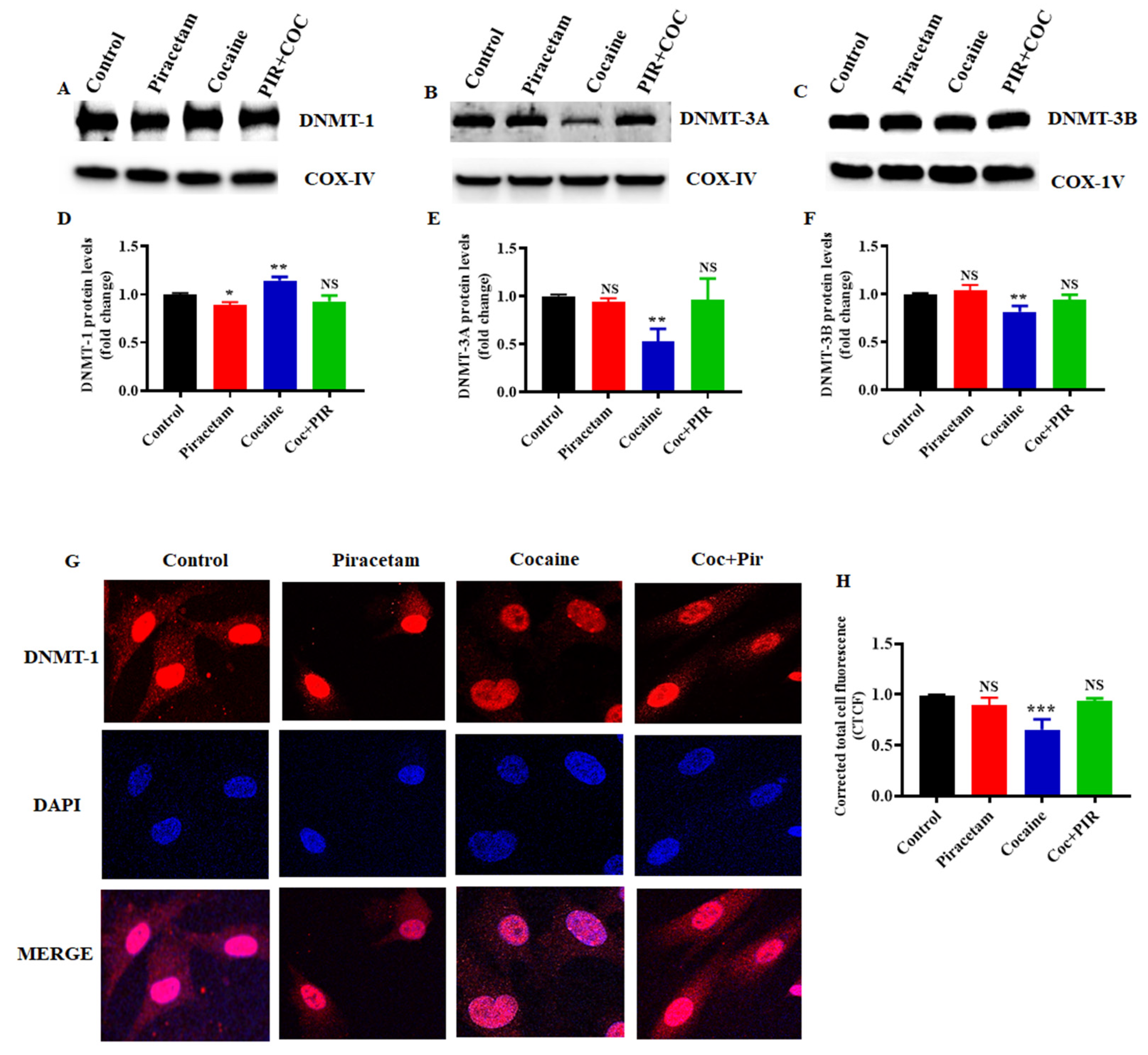 Brainsci 10 00611 g003 Brainsci 10 00611 g003