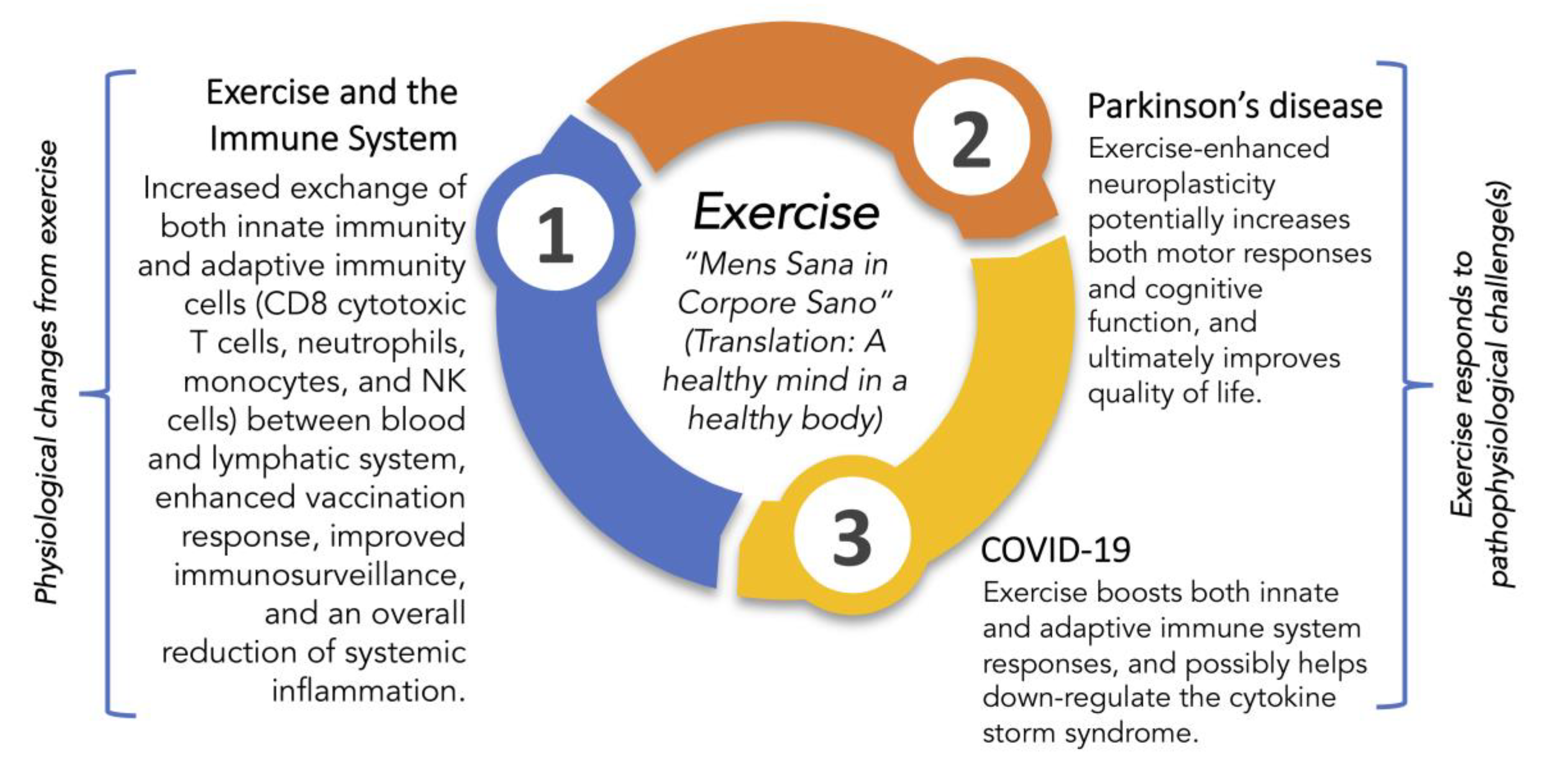 The Benefits of Exercise for Older Adults