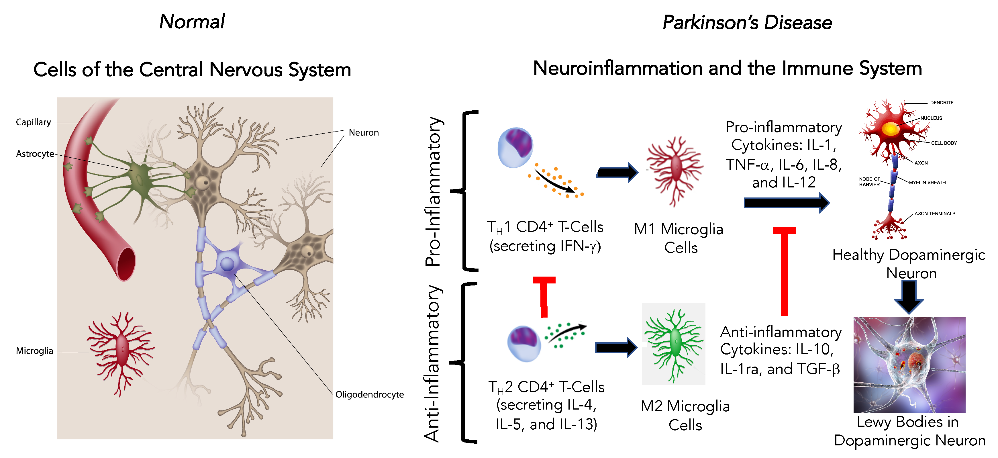 Brainsci 10 00612 g004 Brainsci 10 00612 g004