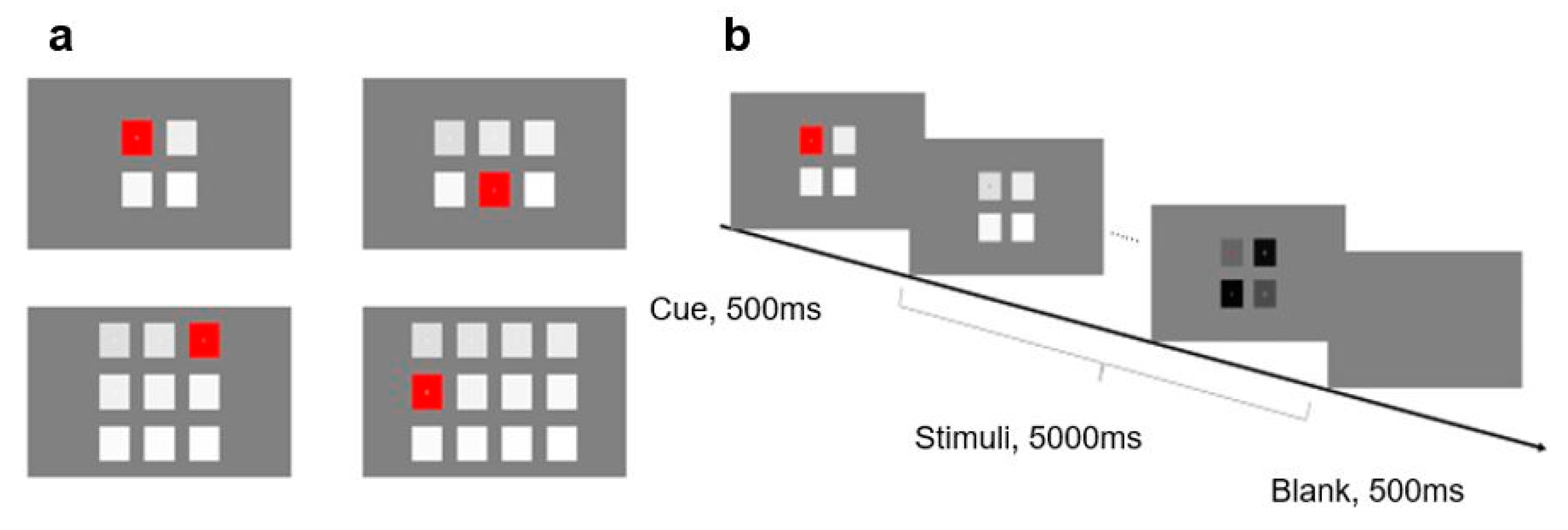 Brainsci 10 00616 g004