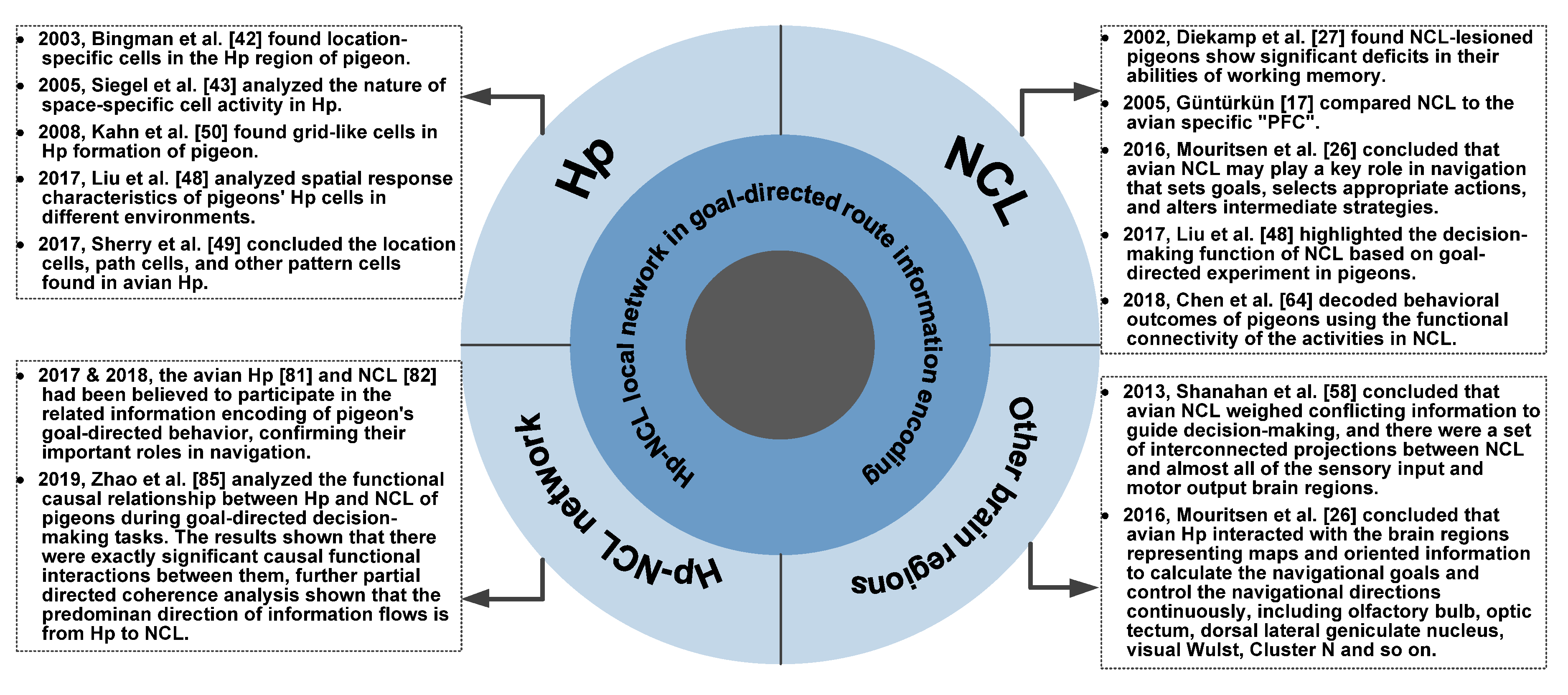 Brainsci 10 00617 g001 Brainsci 10 00617 g001