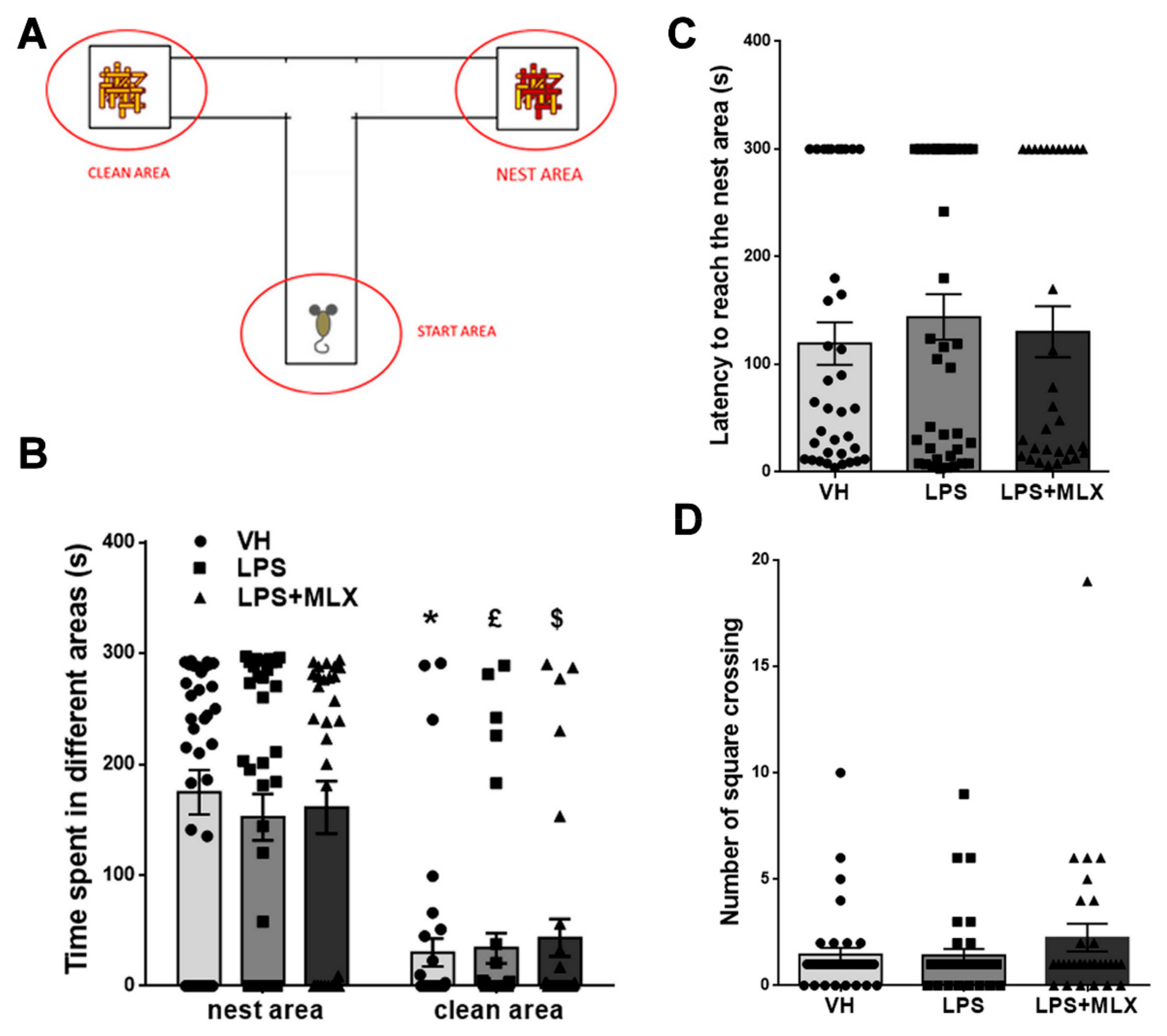 Brainsci 10 00620 g004 Brainsci 10 00620 g004