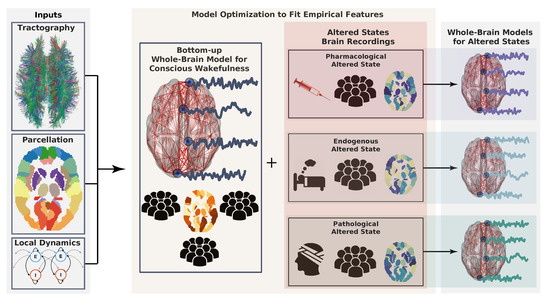 Brainsci 10 00626 g001 550