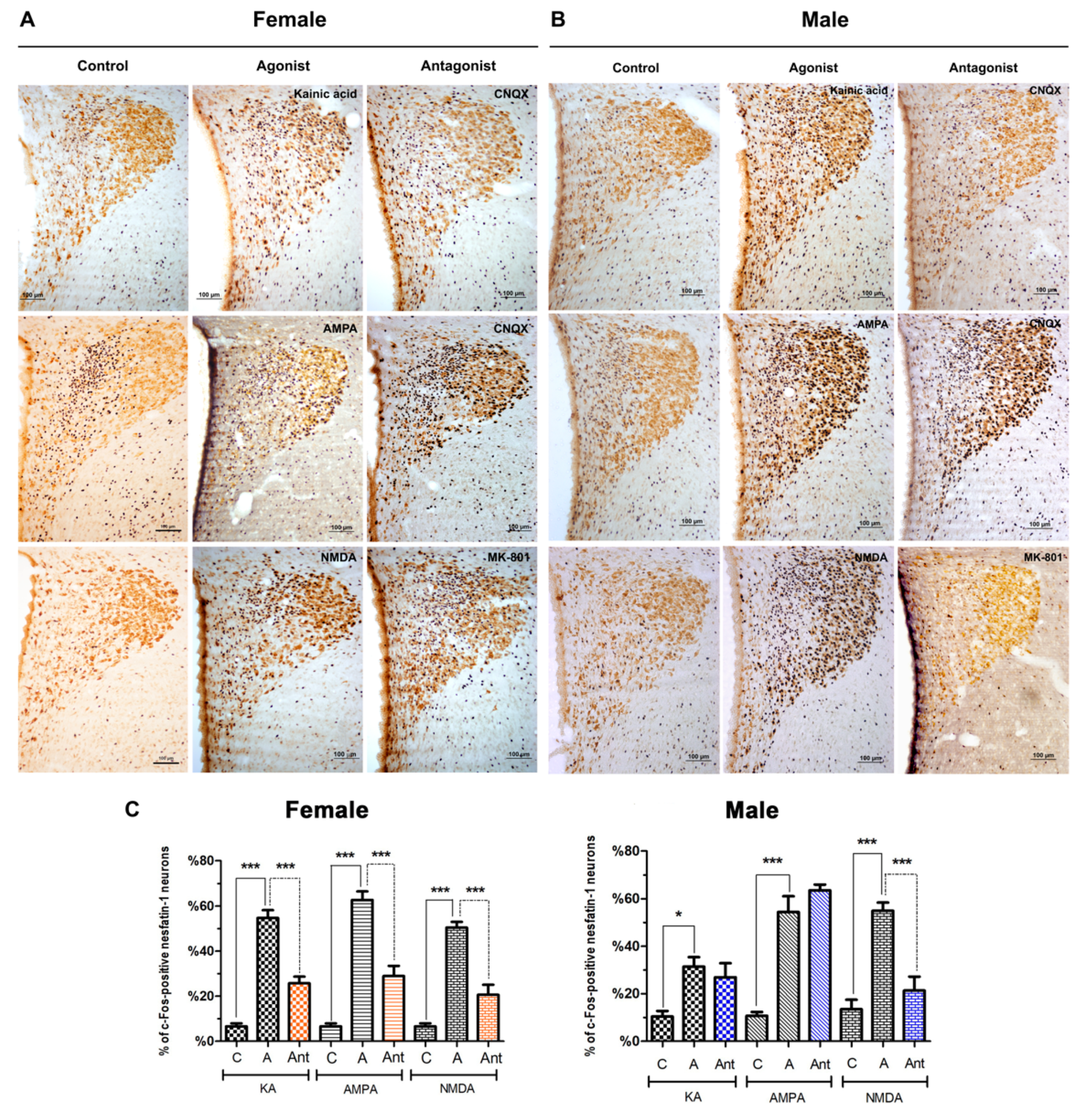 Brainsci 10 00630 g003 Brainsci 10 00630 g003