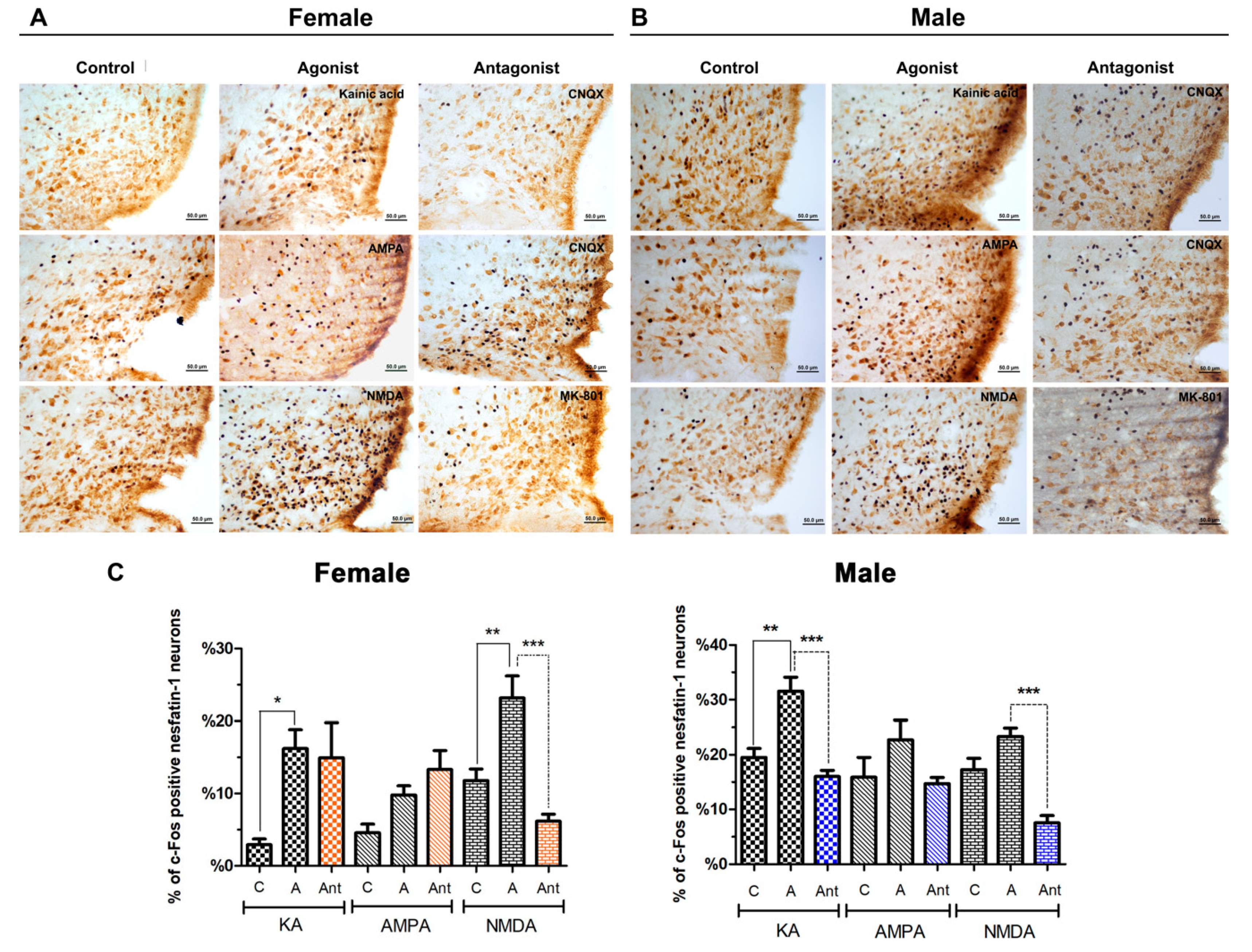 Brainsci 10 00630 g004 Brainsci 10 00630 g004