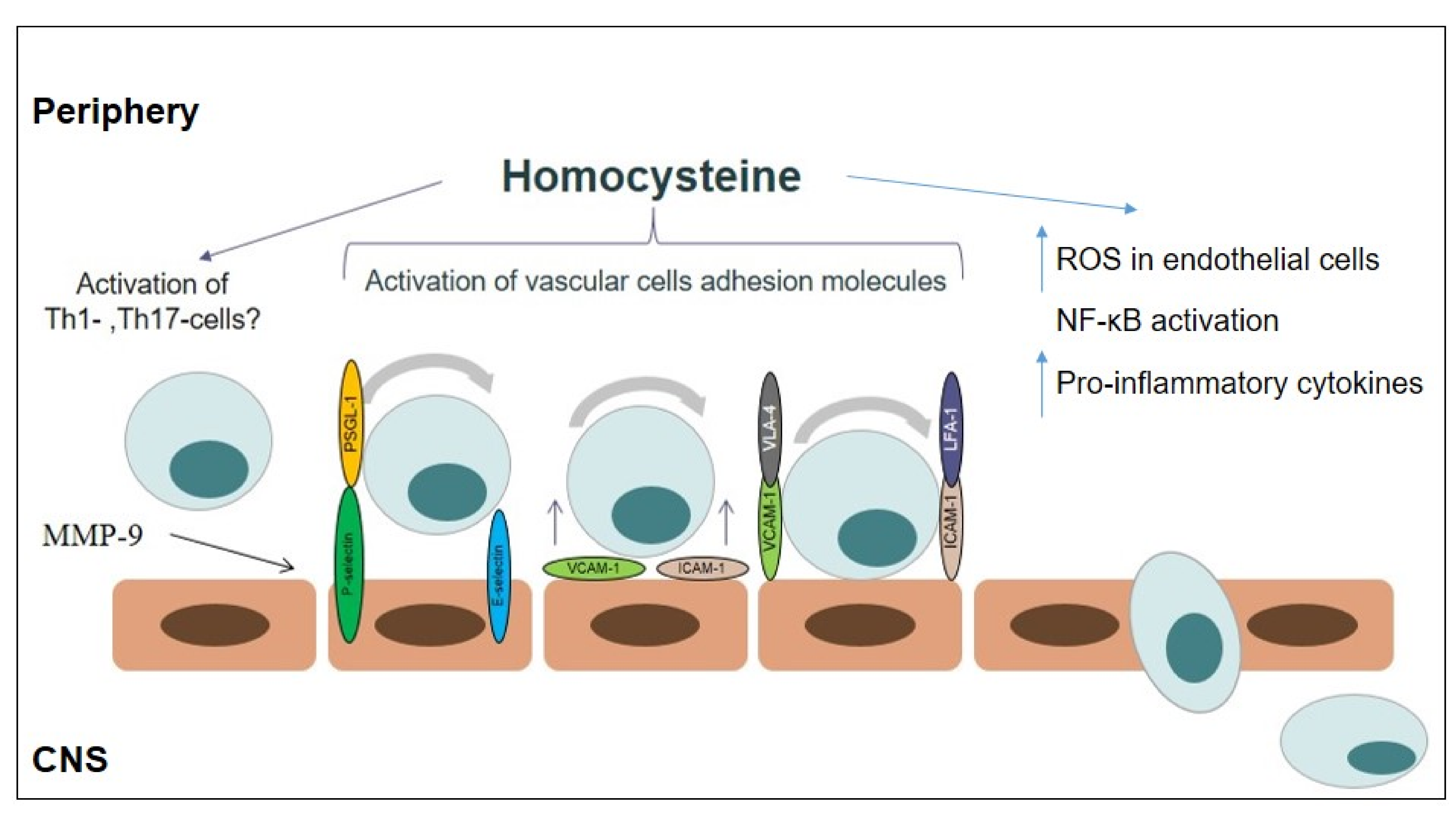 Brainsci 10 00637 g002 Brainsci 10 00637 g002