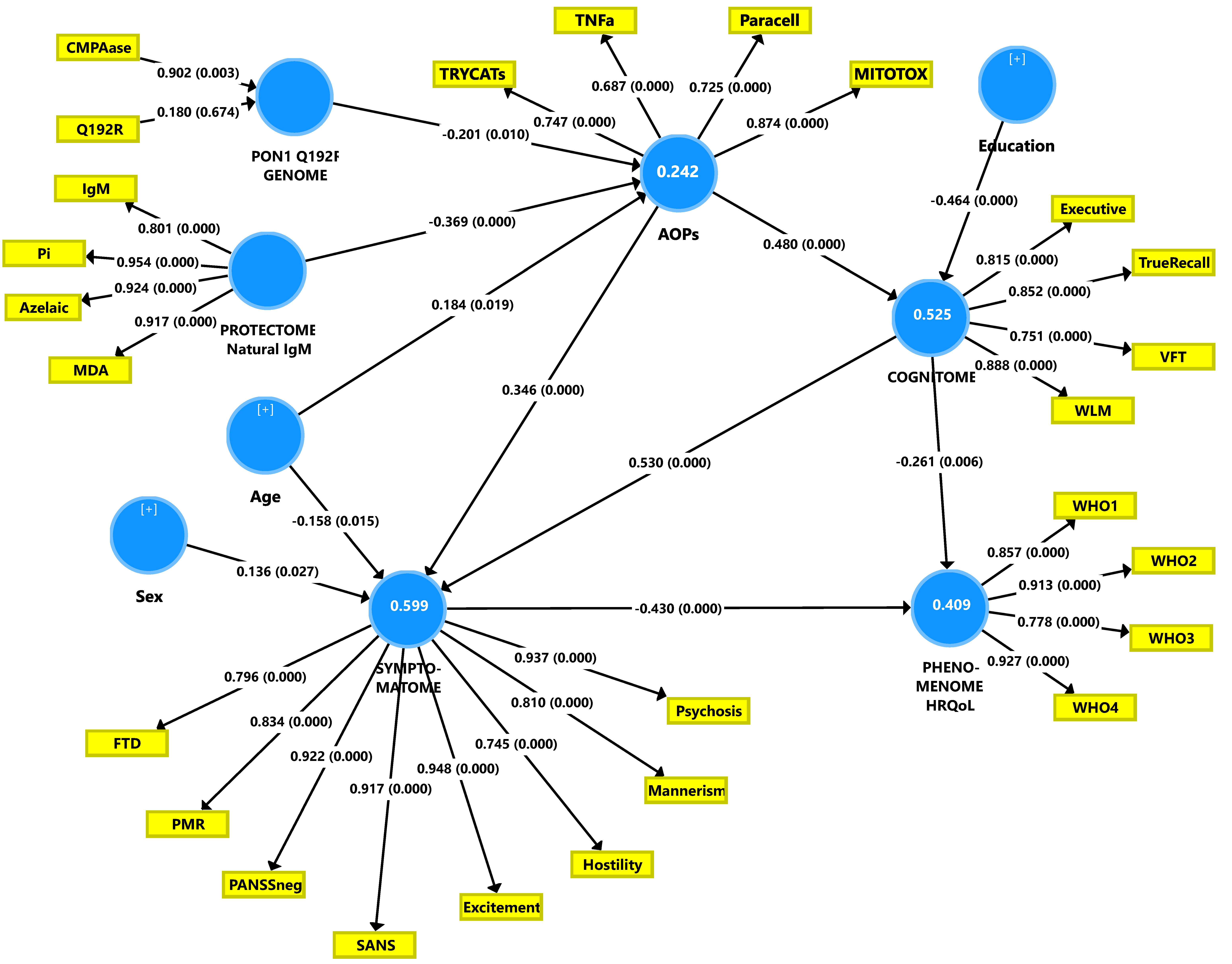 Brainsci 10 00645 g002