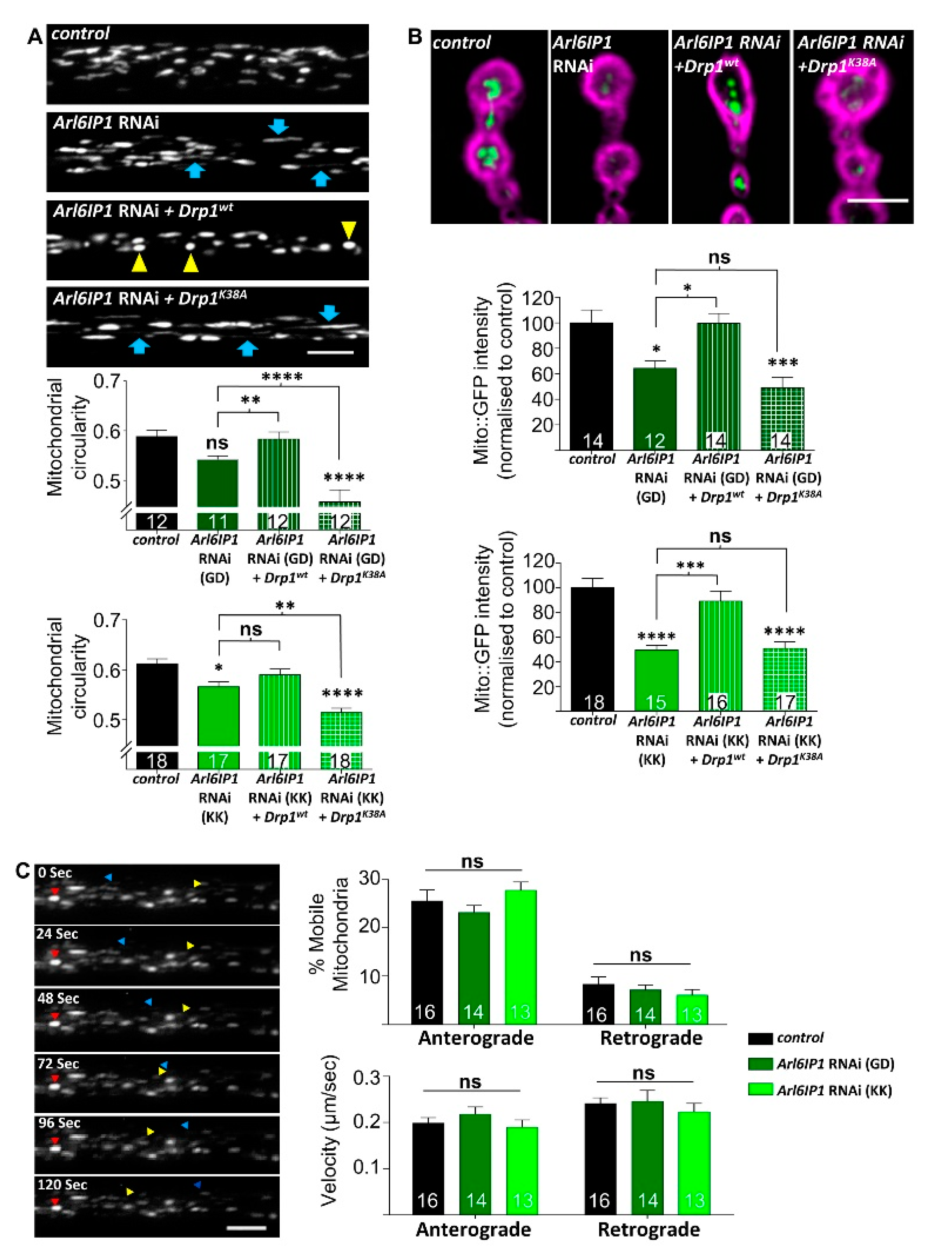 Brainsci 10 00646 g003