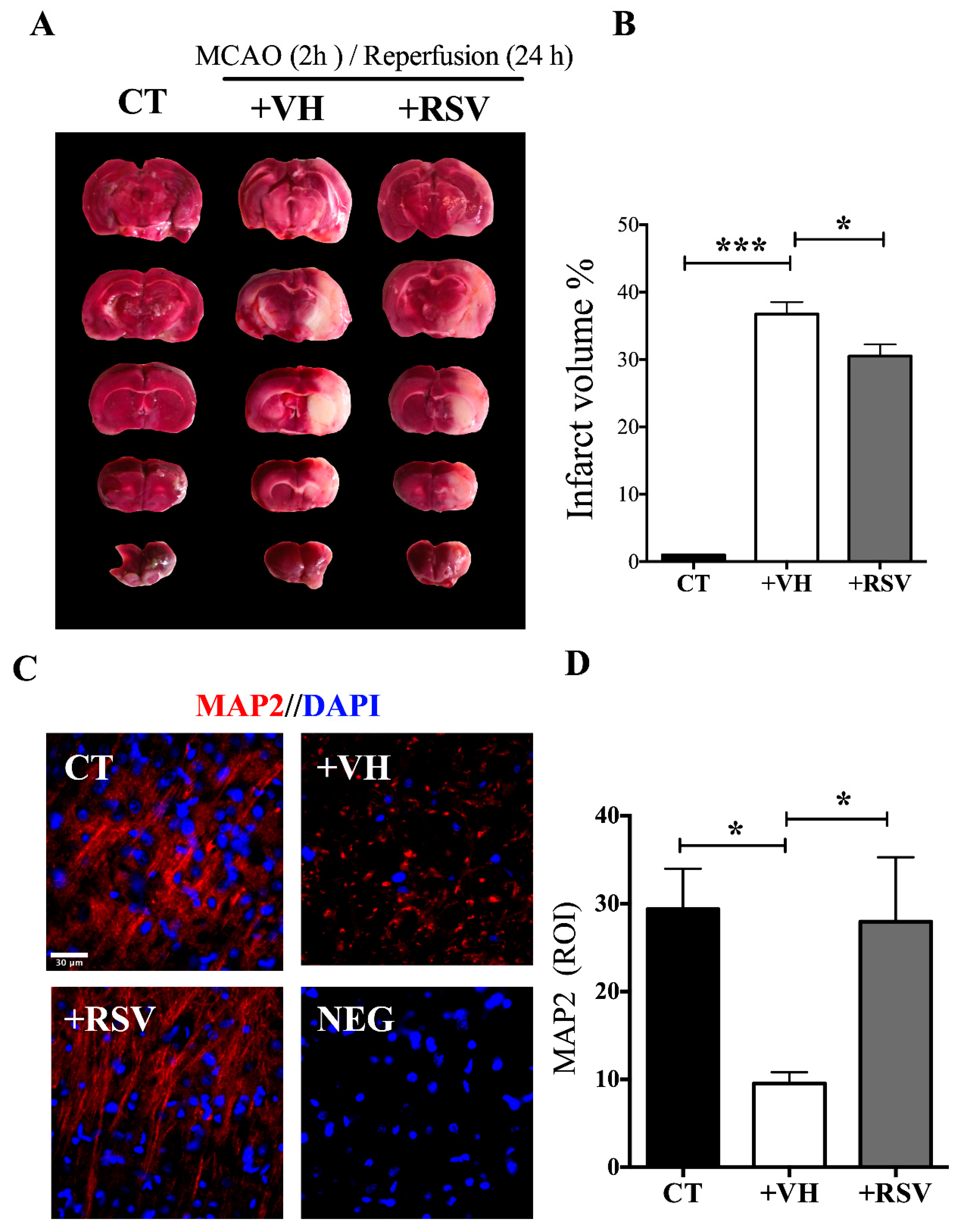 Brainsci 10 00651 g001 Brainsci 10 00651 g001