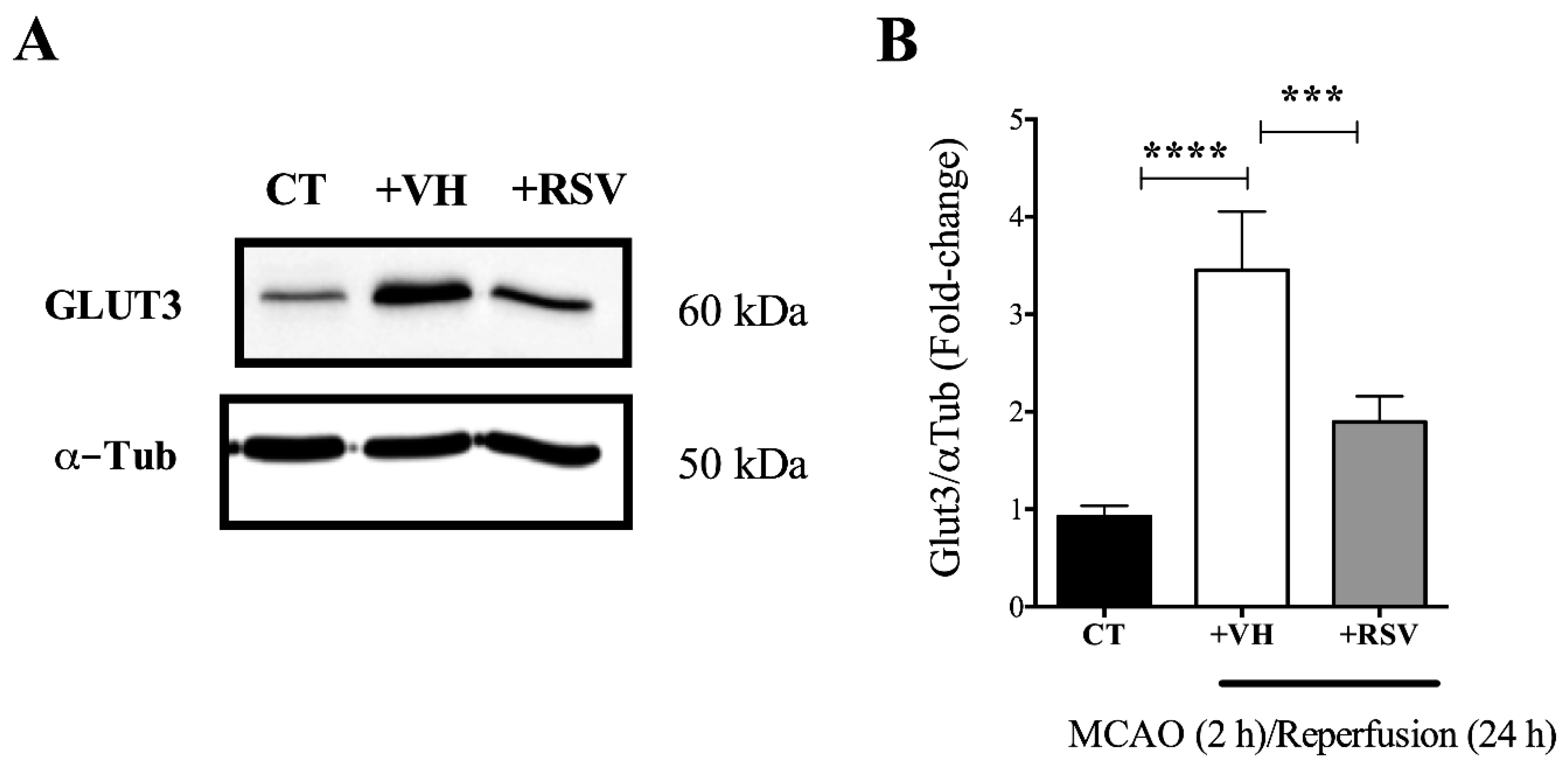 Brainsci 10 00651 g003 Brainsci 10 00651 g003