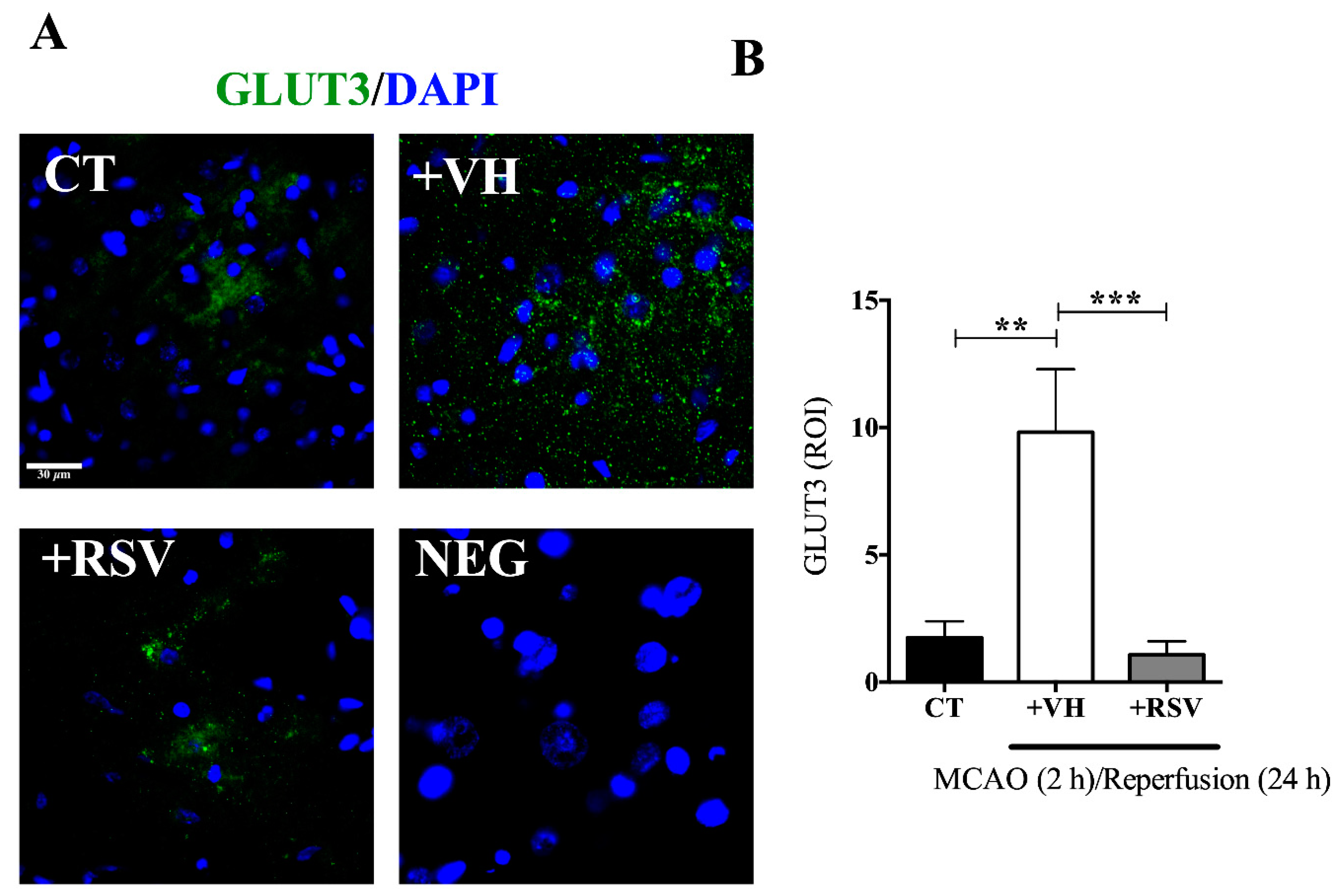 Brainsci 10 00651 g005 Brainsci 10 00651 g005