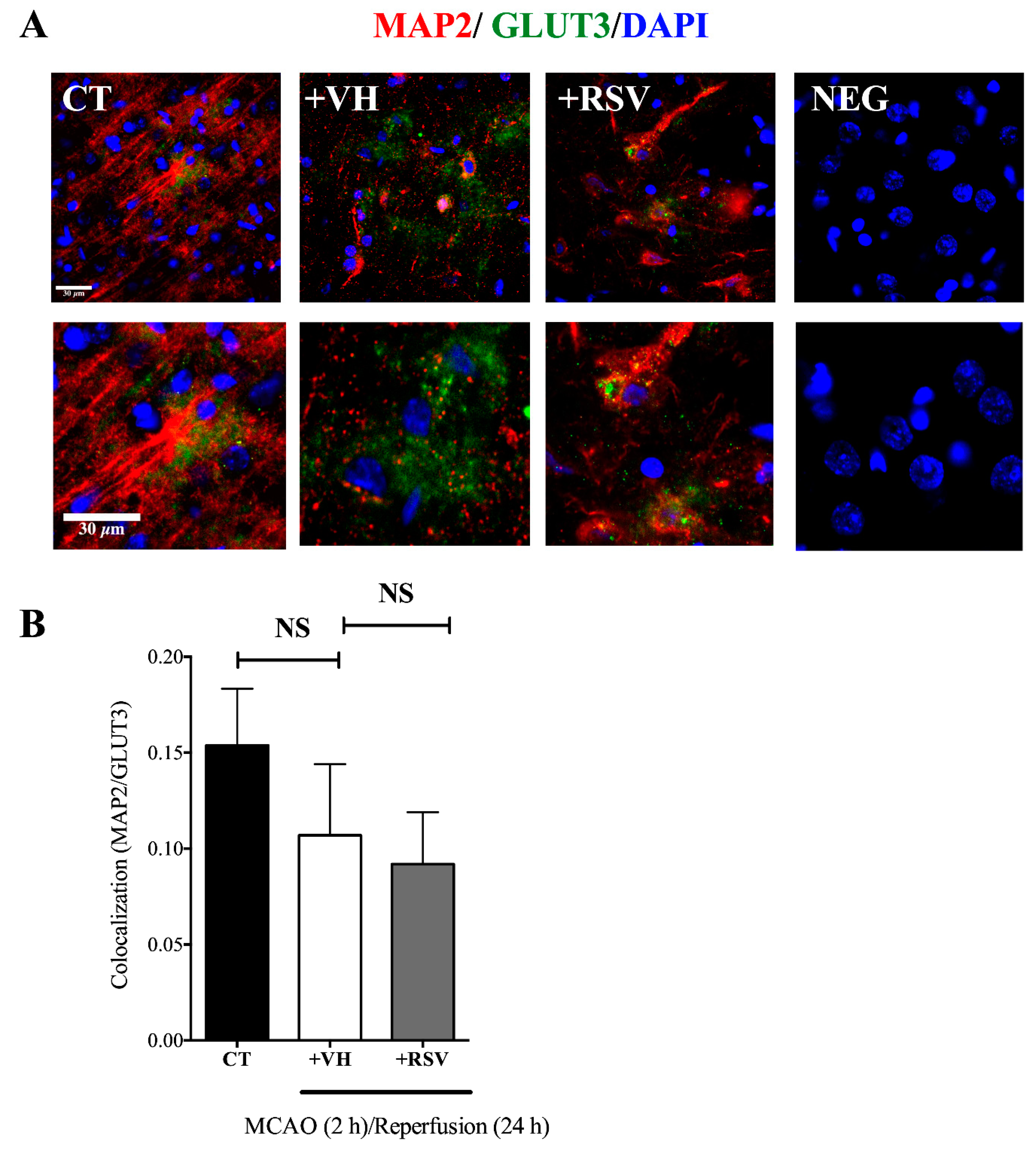 Brainsci 10 00651 g006 Brainsci 10 00651 g006