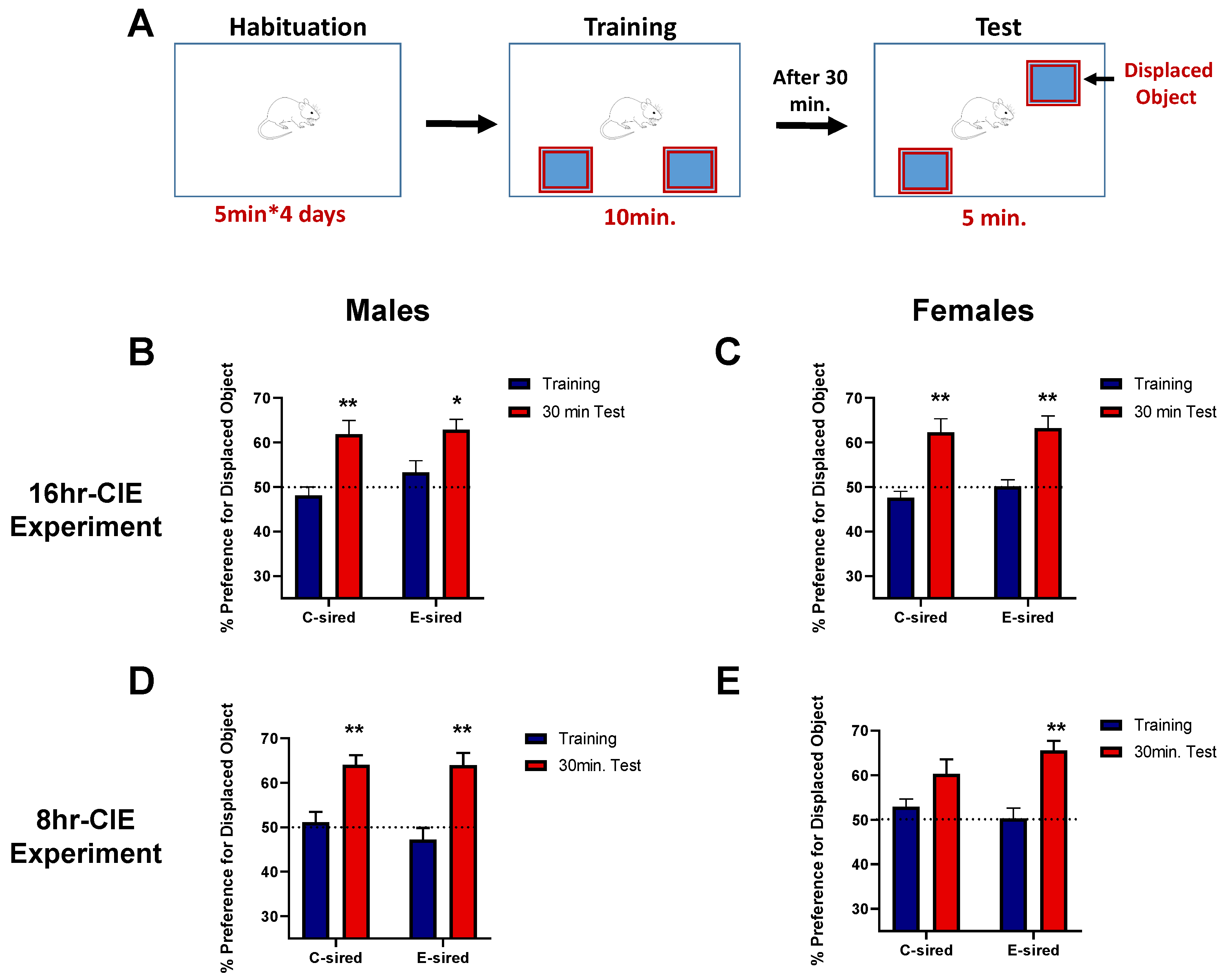 Brainsci 10 00658 g004 Brainsci 10 00658 g004